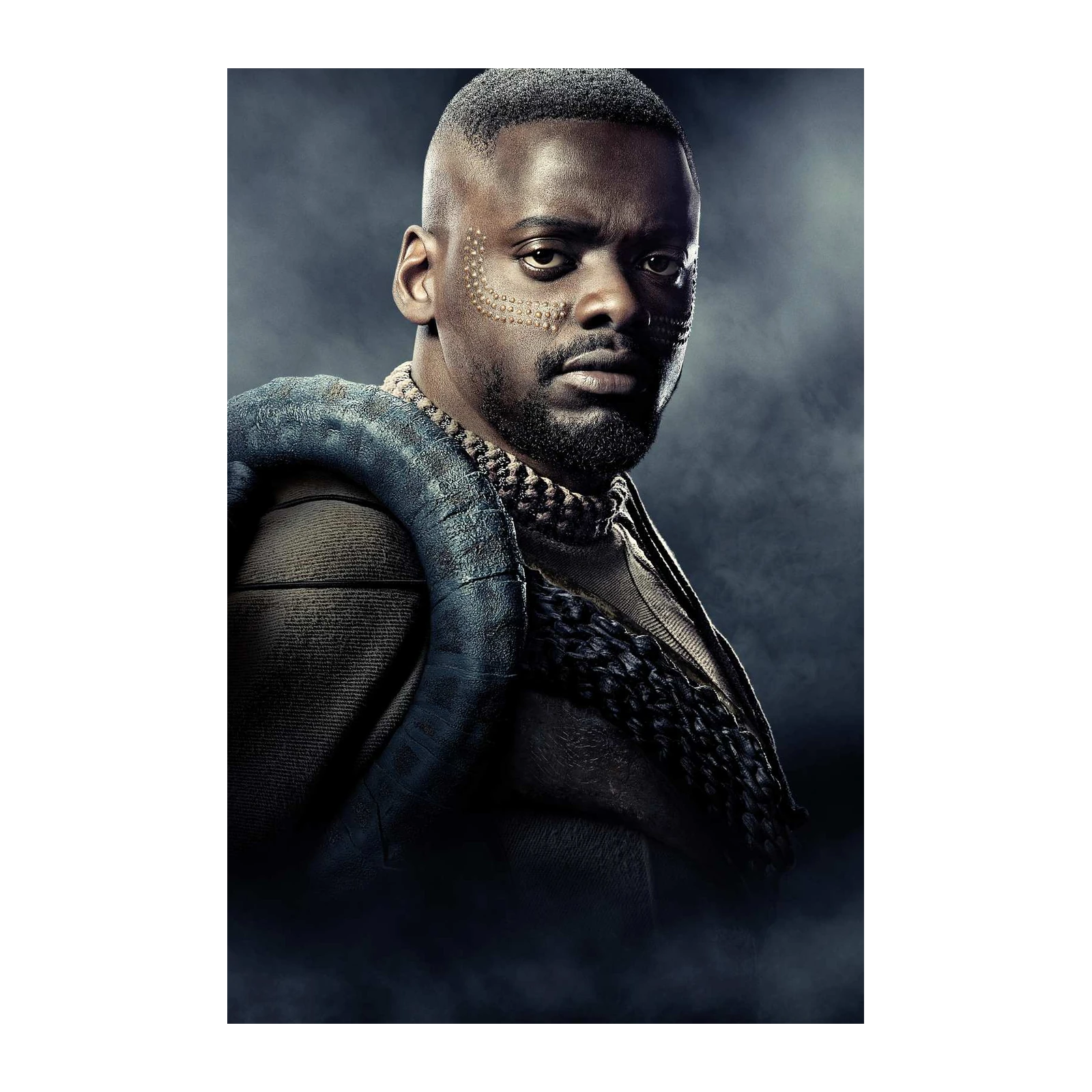 M'Baku Warrior King Wall Art