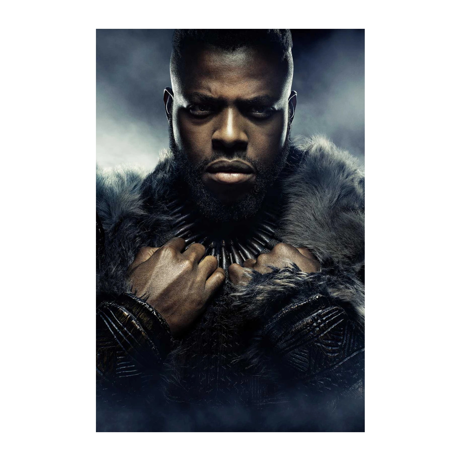 Majestic Wakandan Warrior Wall Art