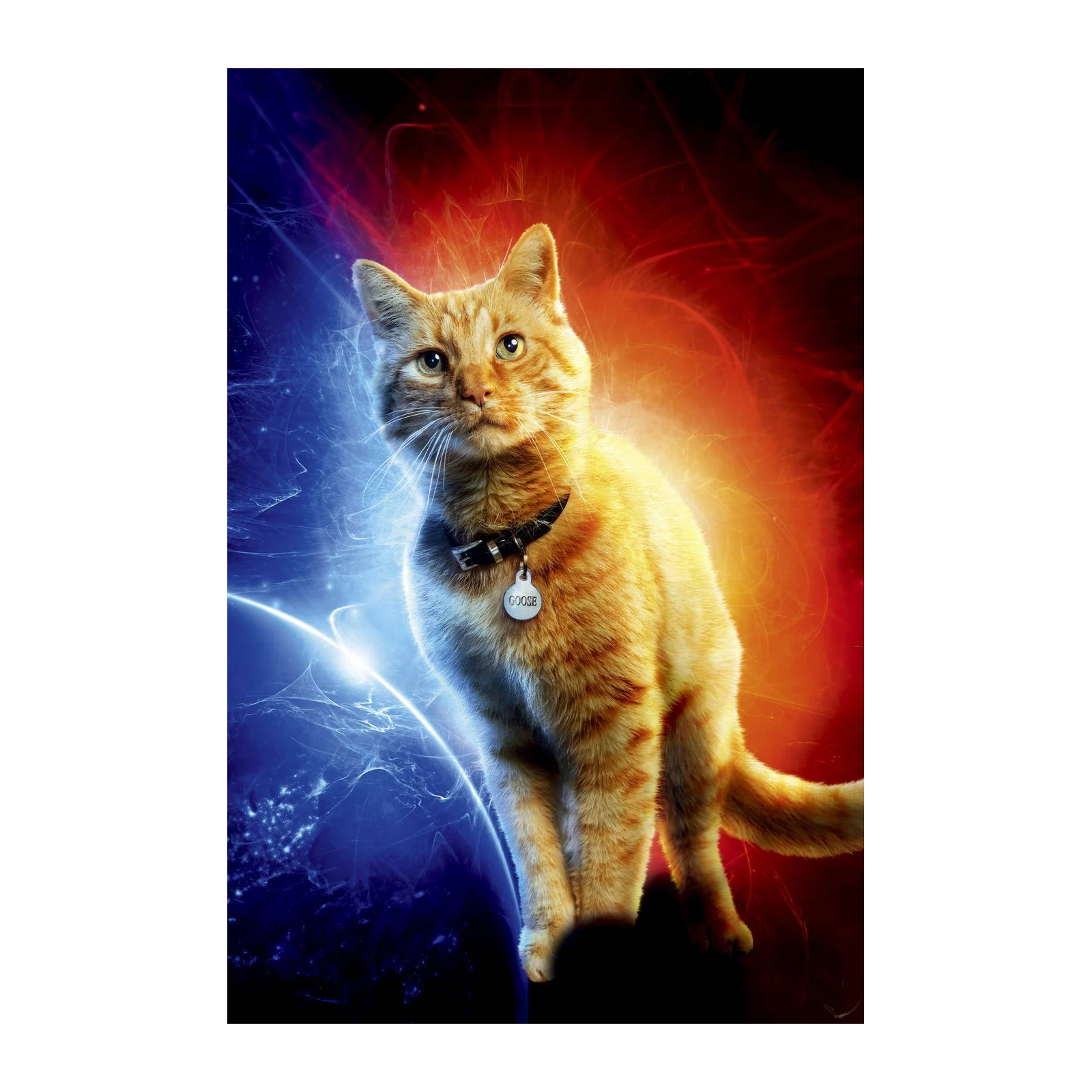 Cosmic Ginger Cat "Goose" Wall Art