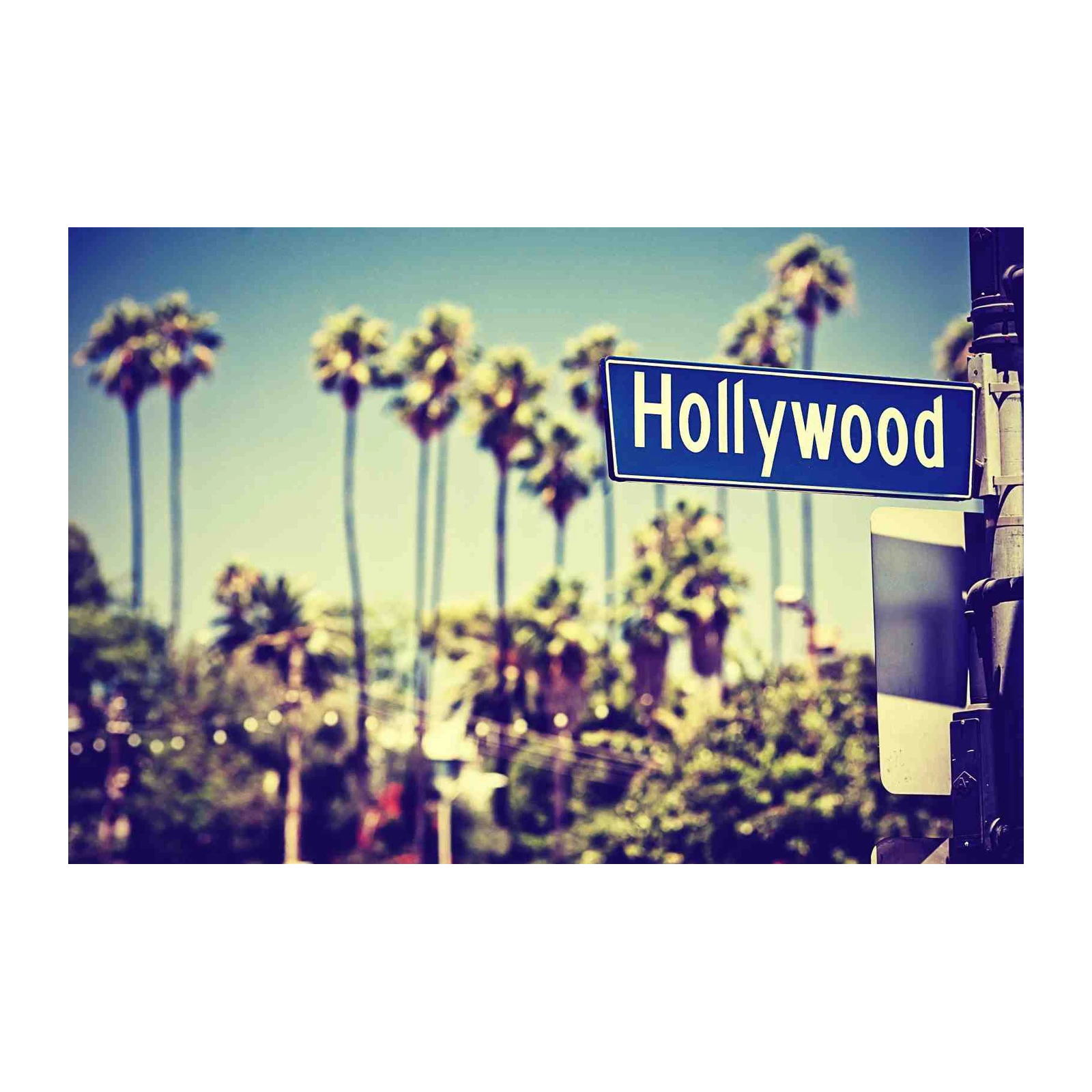 Hollywood Palm Trees Vintage Street Sign Wall Art