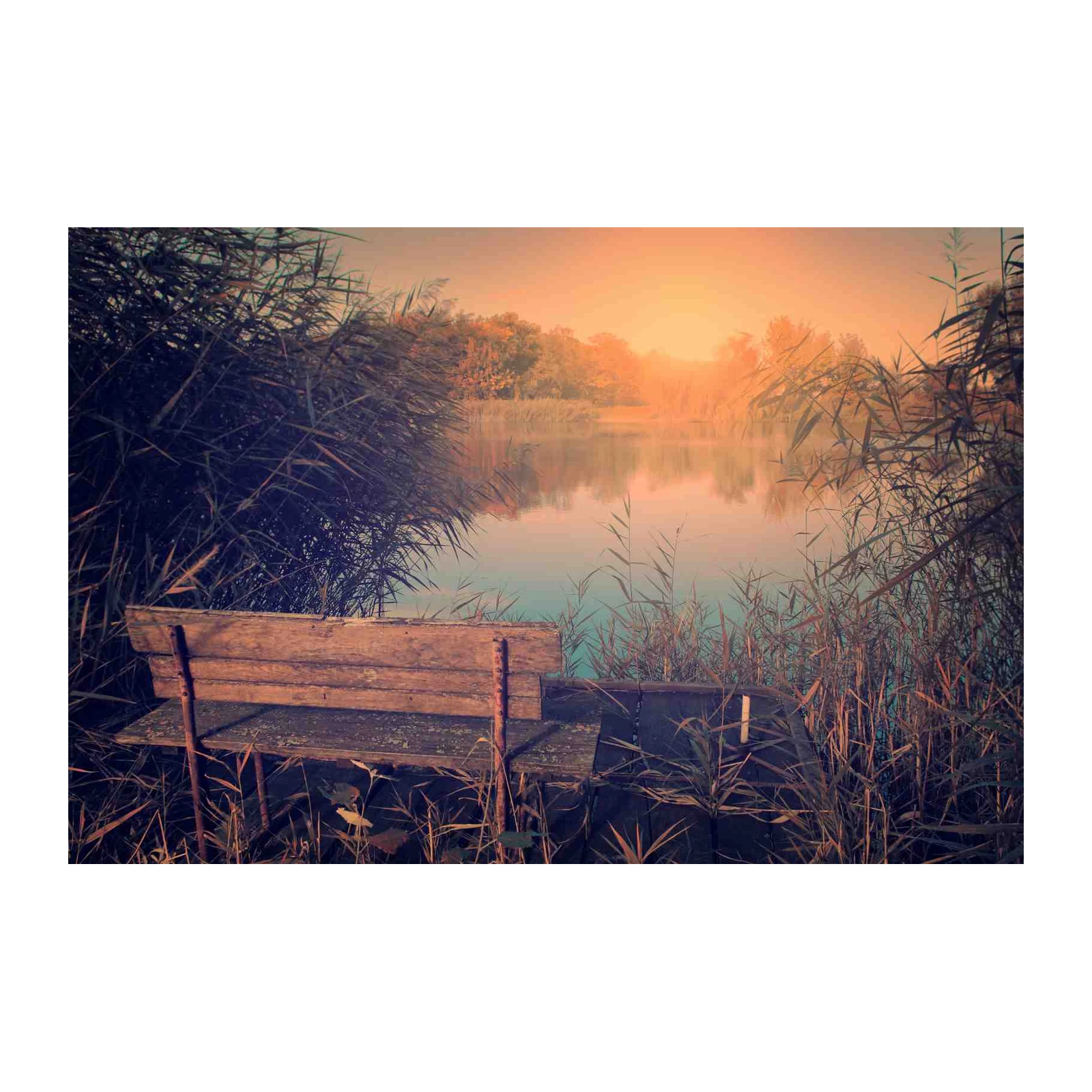 Tranquil Lakeside Bench Wall Art