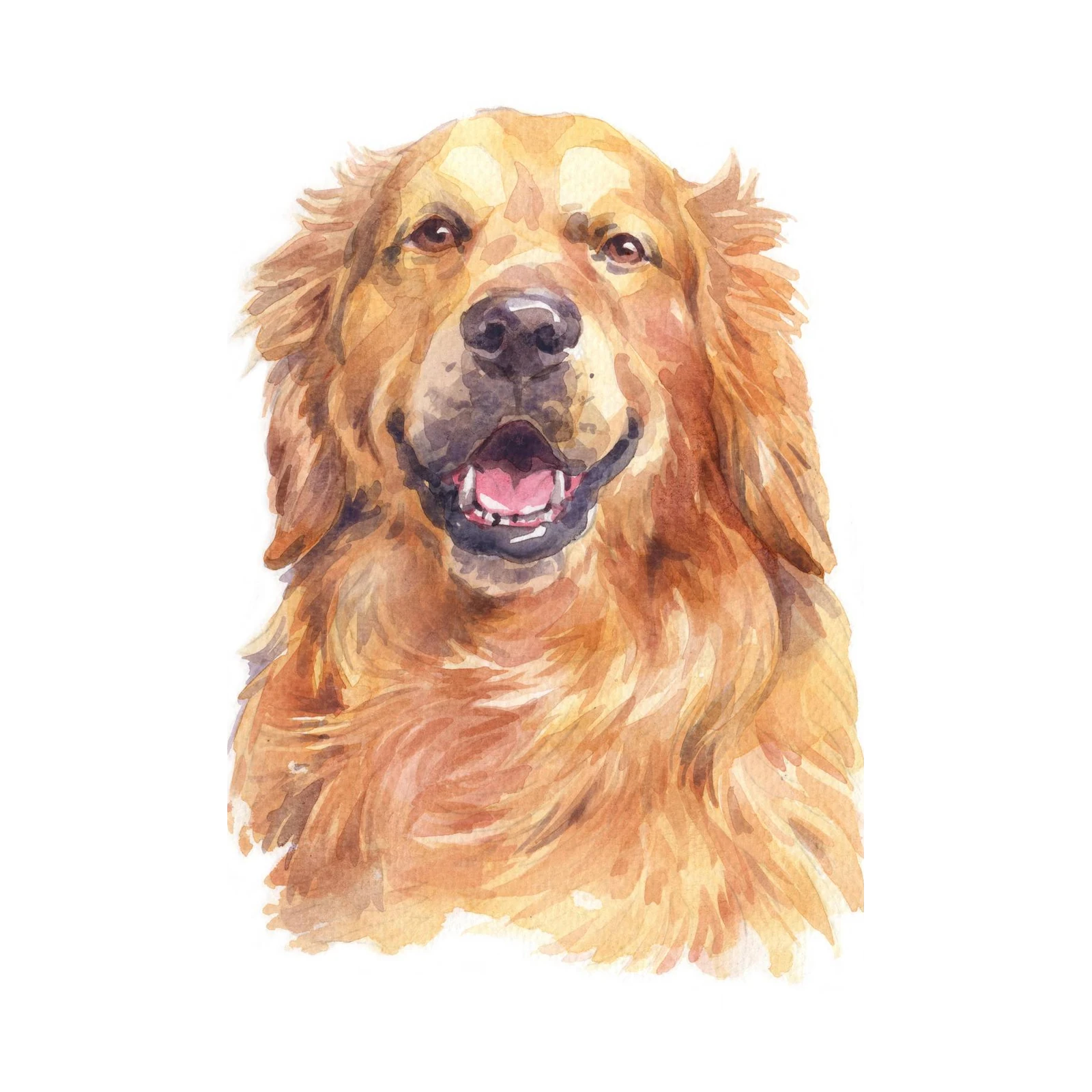 Golden Retriever Portrait Watercolor Wall Art