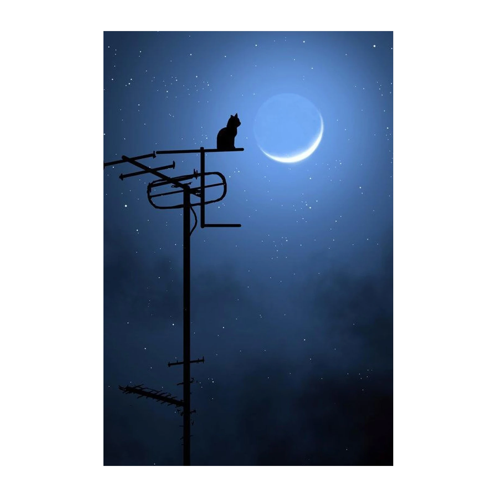 Mysterious Cat Under Moon Wall Art
