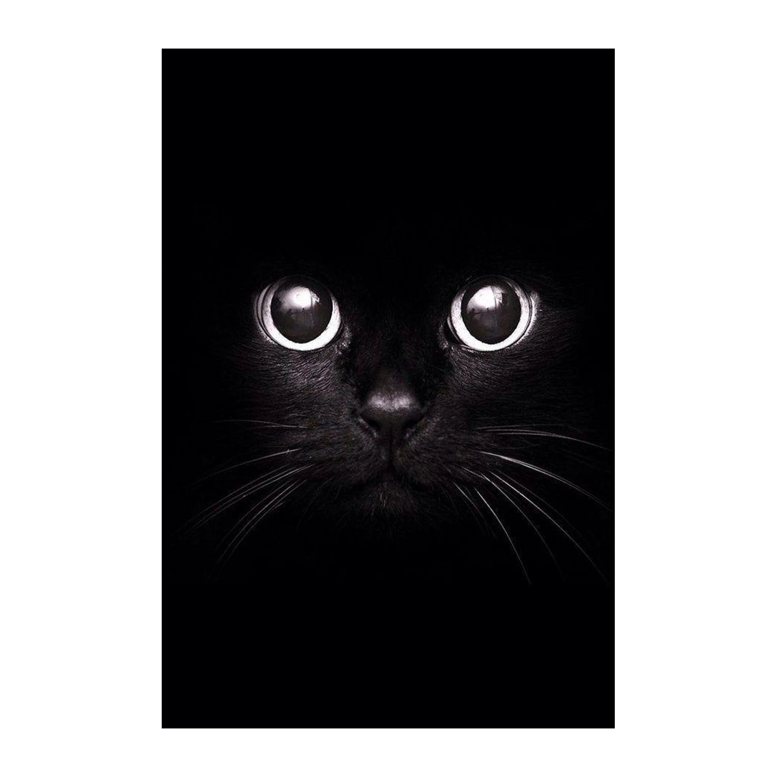 Mesmerizing Black Cat Eyes Wall Art