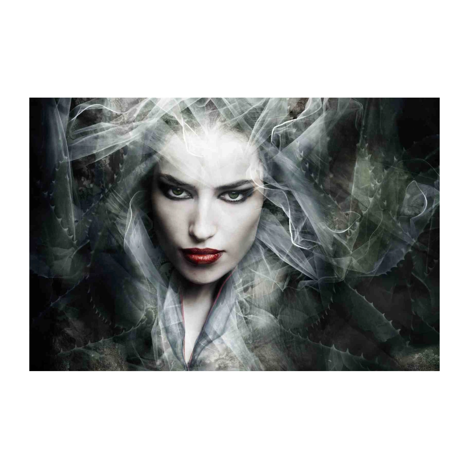 Mysterious Woman Portrait Wall Art