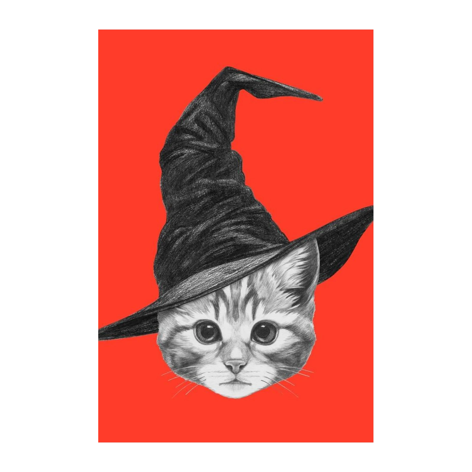 Whimsical Witch Cat Portrait Wall Art