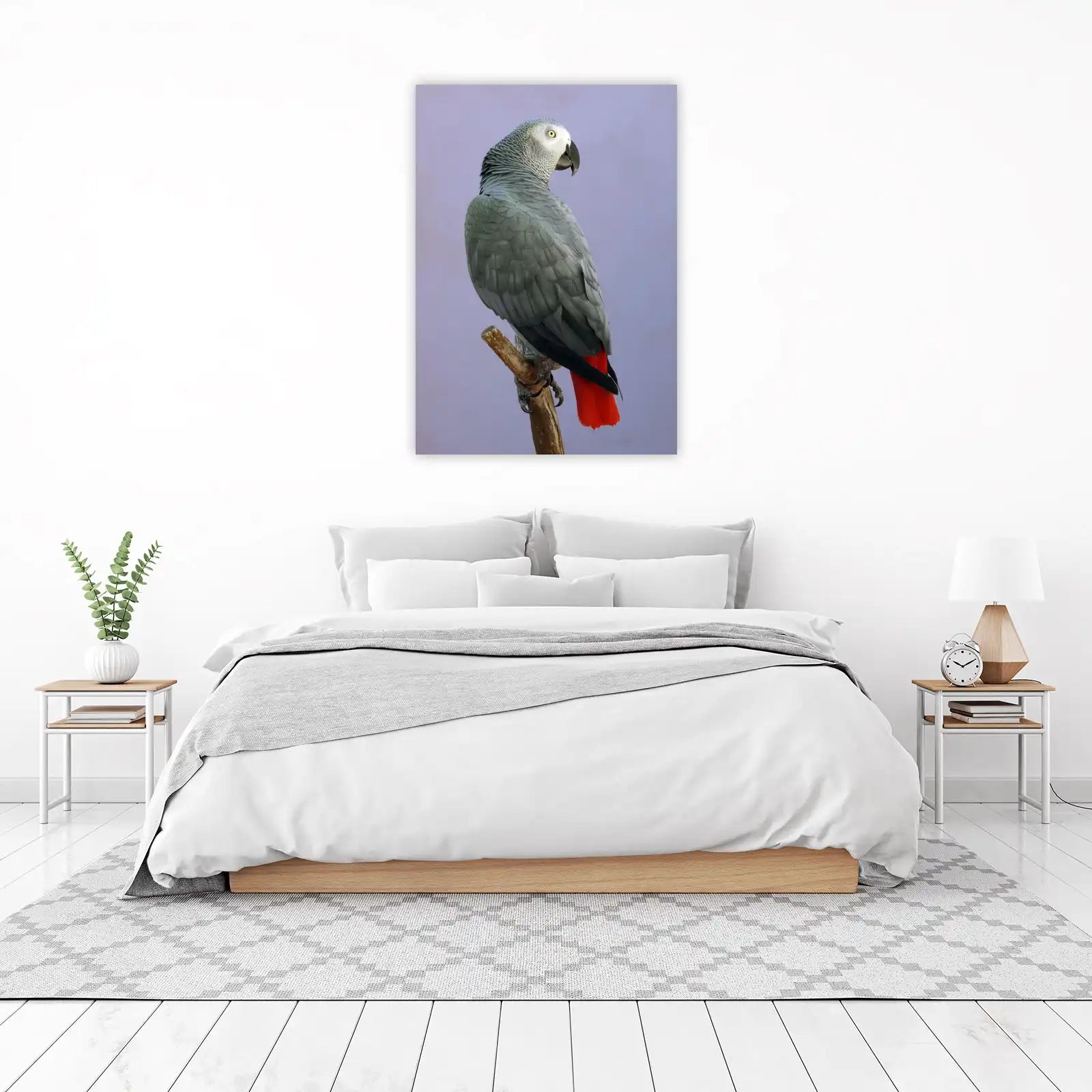 African Grey Parrot Vibrant Tail Wall Art