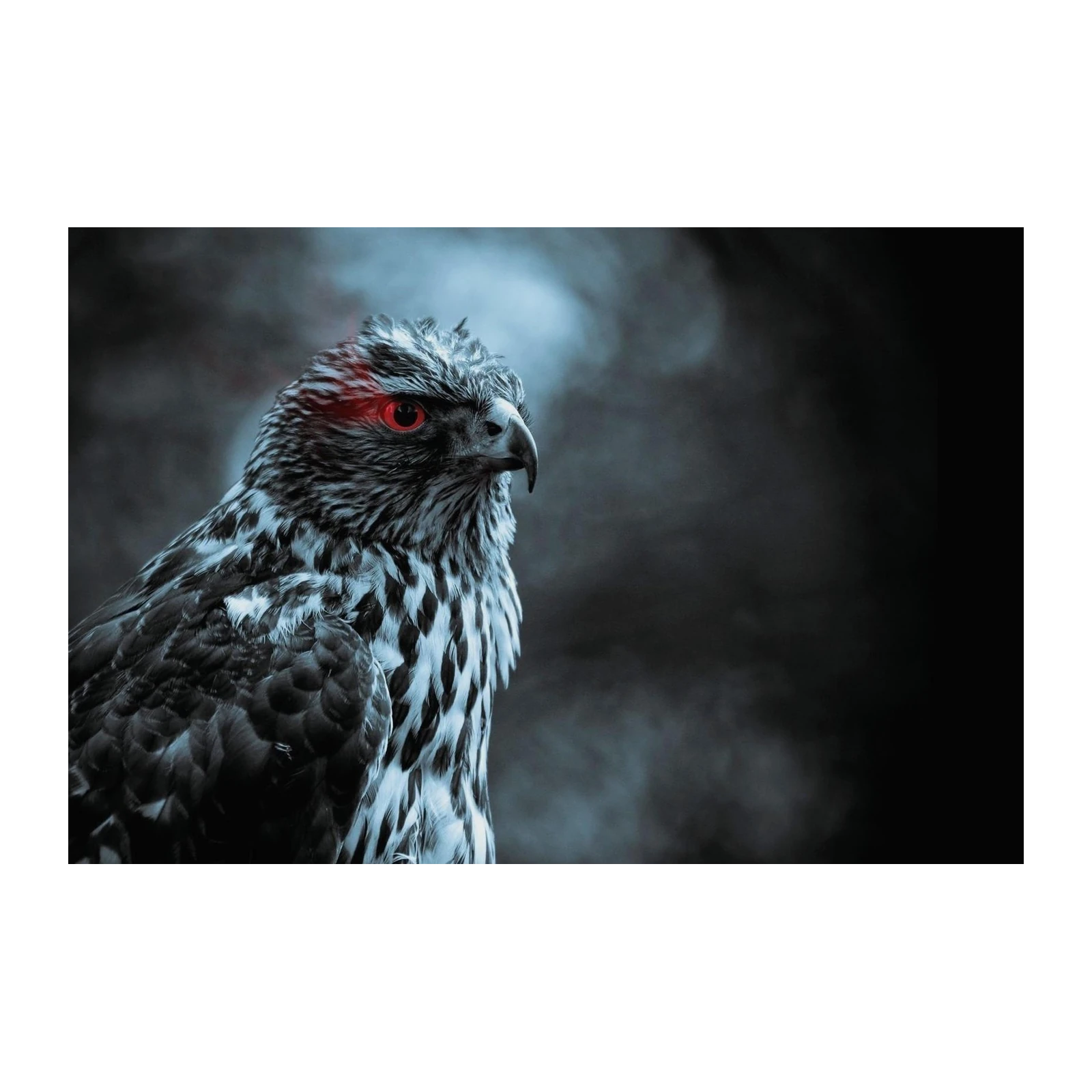 Mystic Eagle with Red Eyes Wall Art