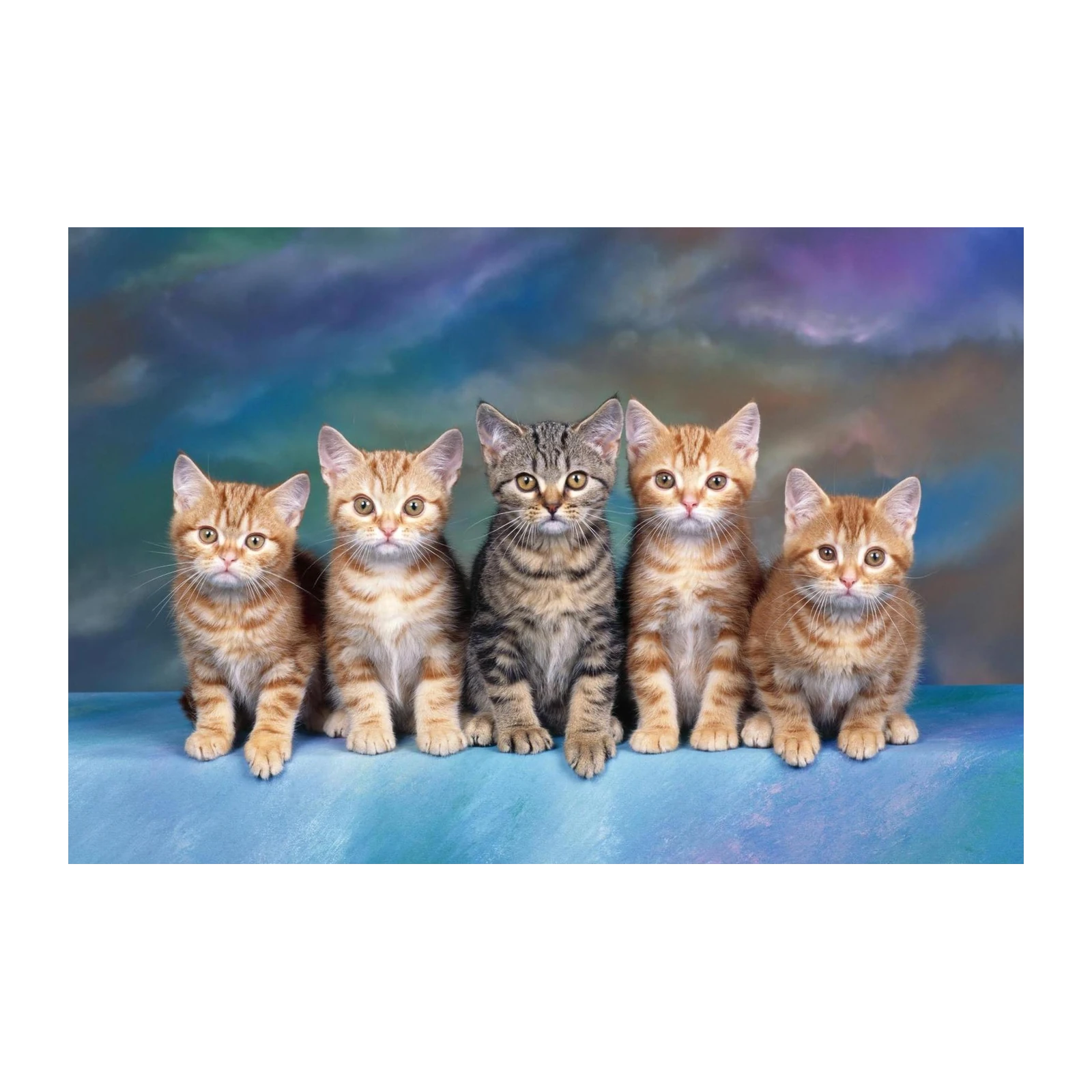 Adorable Kitten Family Wall Art