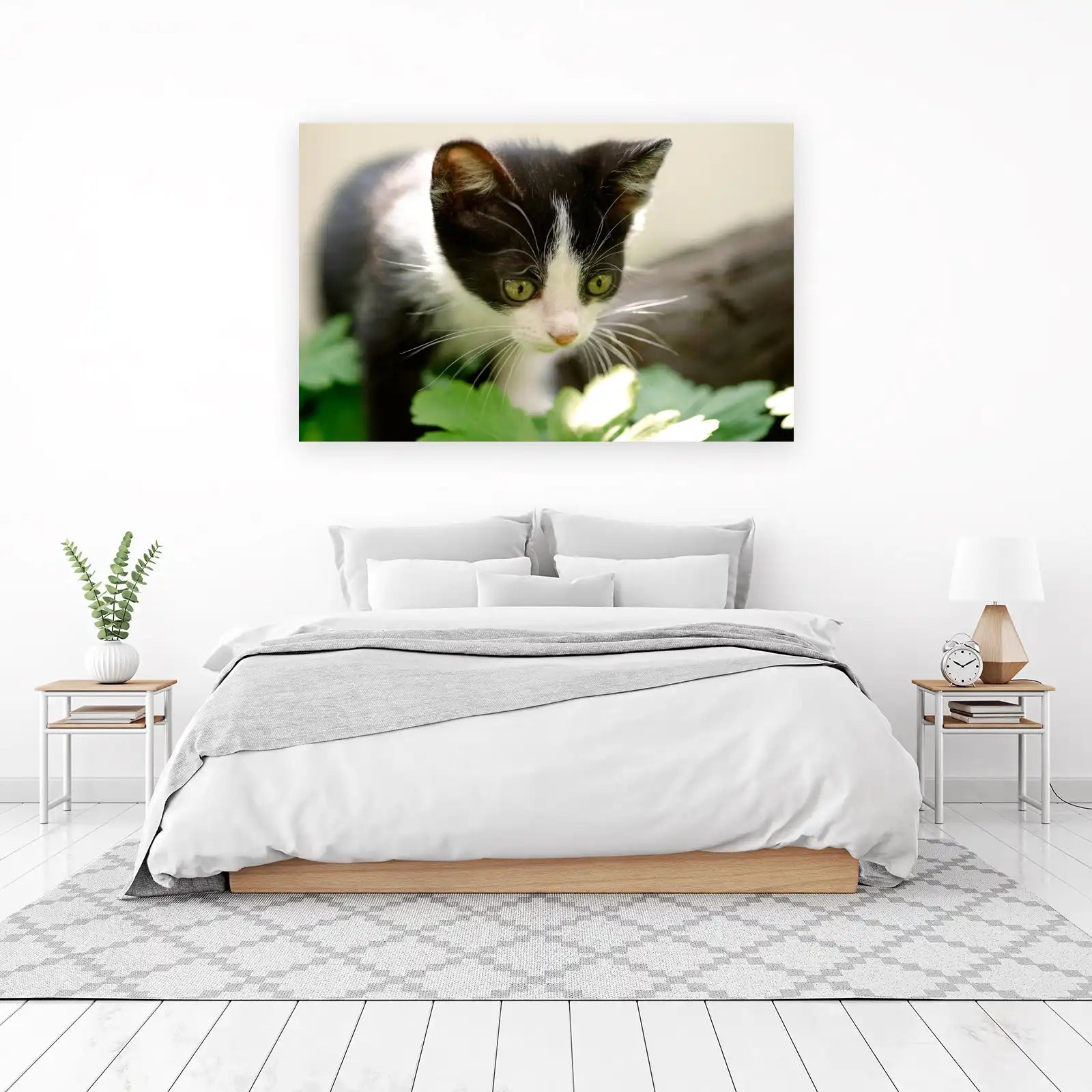 Curious Kitten Green Eyes Black & White Wall Art