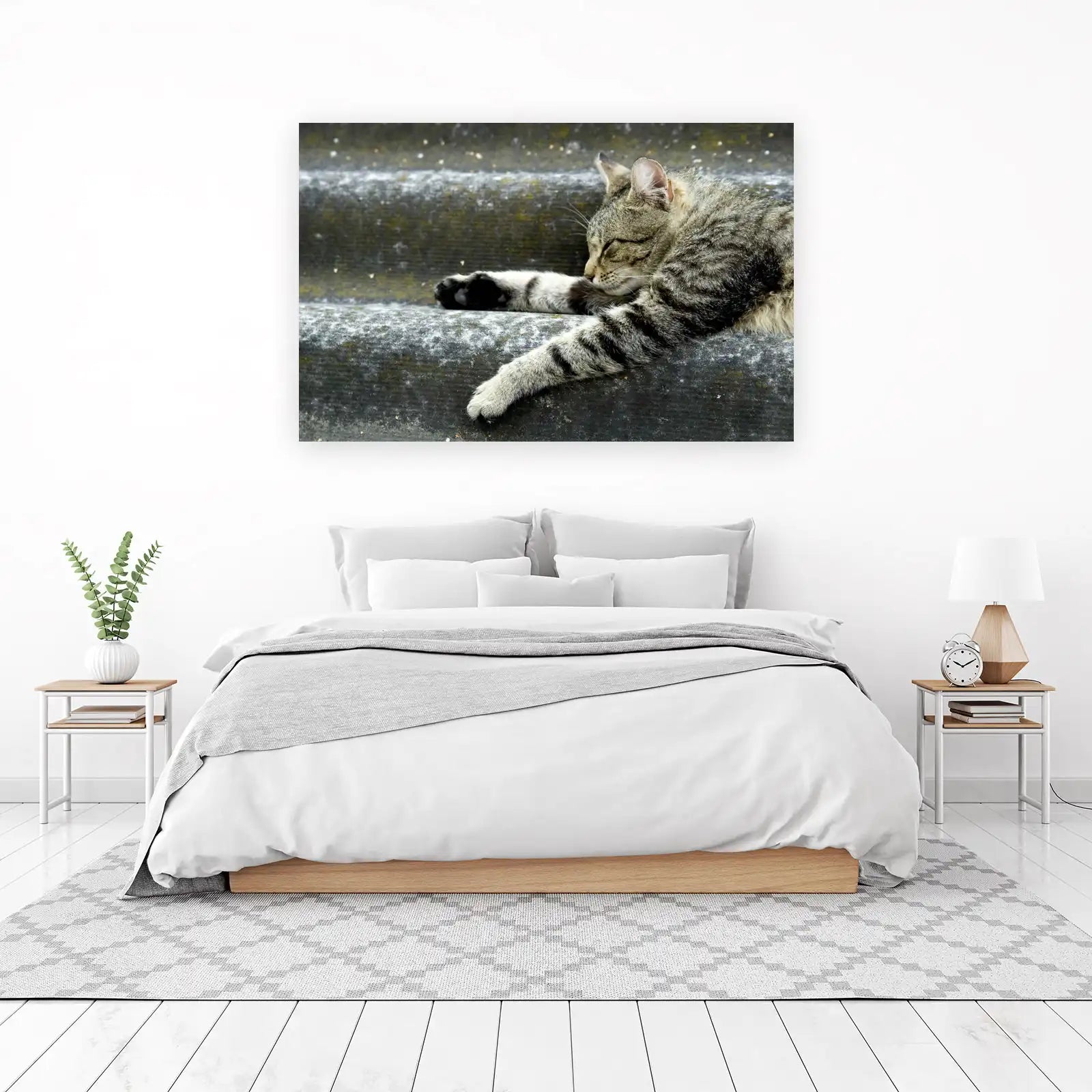 Peaceful Tabby Cat Sleeping Wall Art