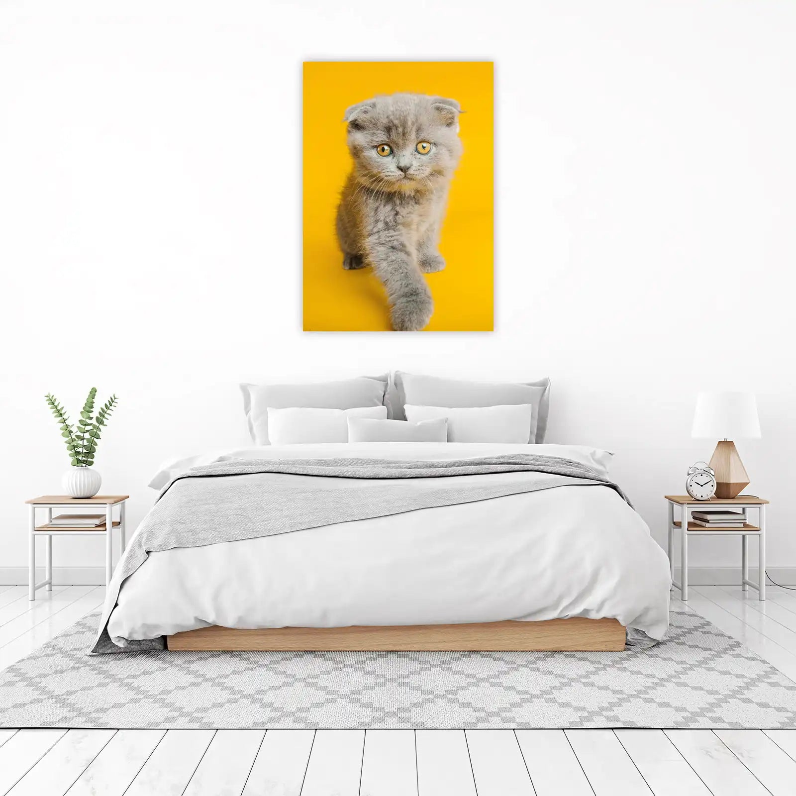 Adorable Scottish Fold Kitten Yellow Wall Art