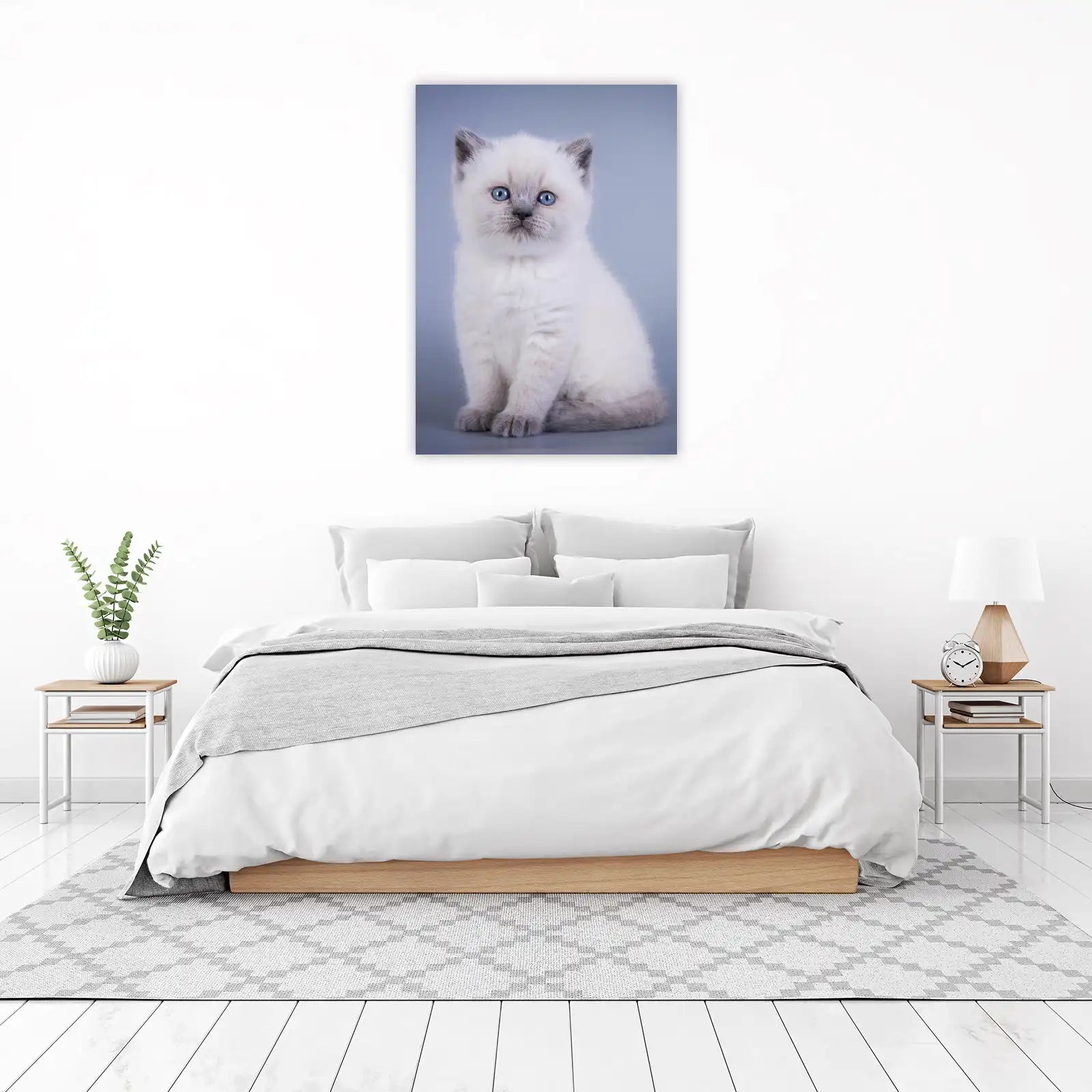 Adorable Blue-Eyed Kitten Wall Art