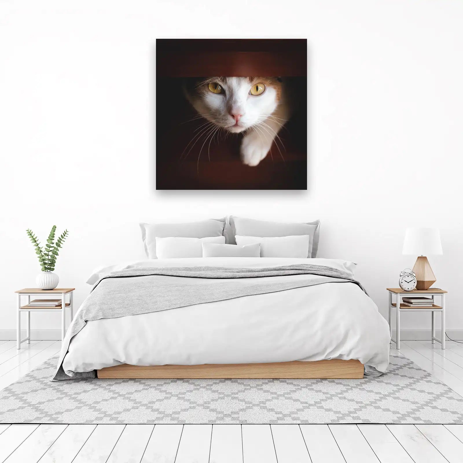 Curious Cat Eyes Wall Art | Pet Art