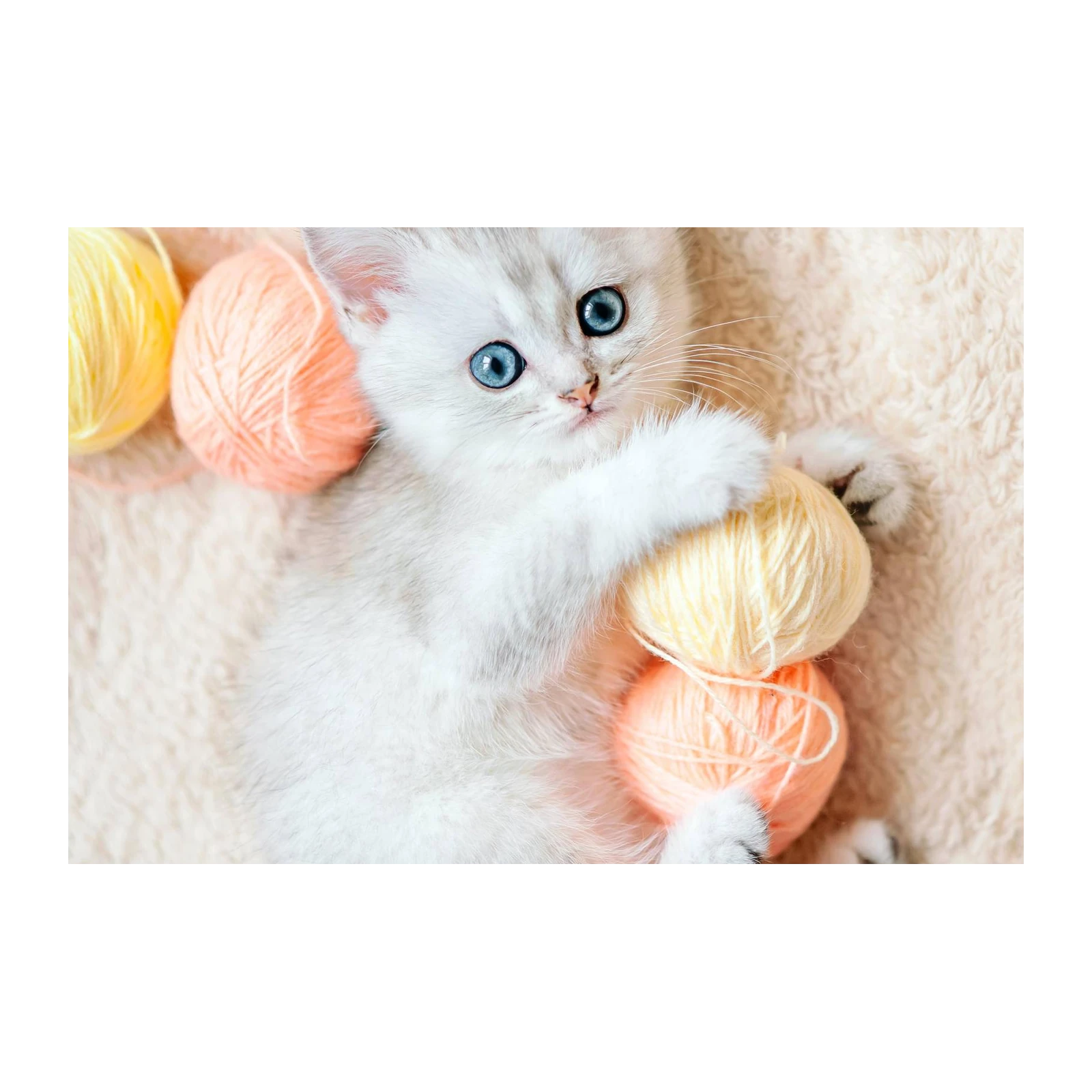 Adorable Kitten & Yarn Wall Art