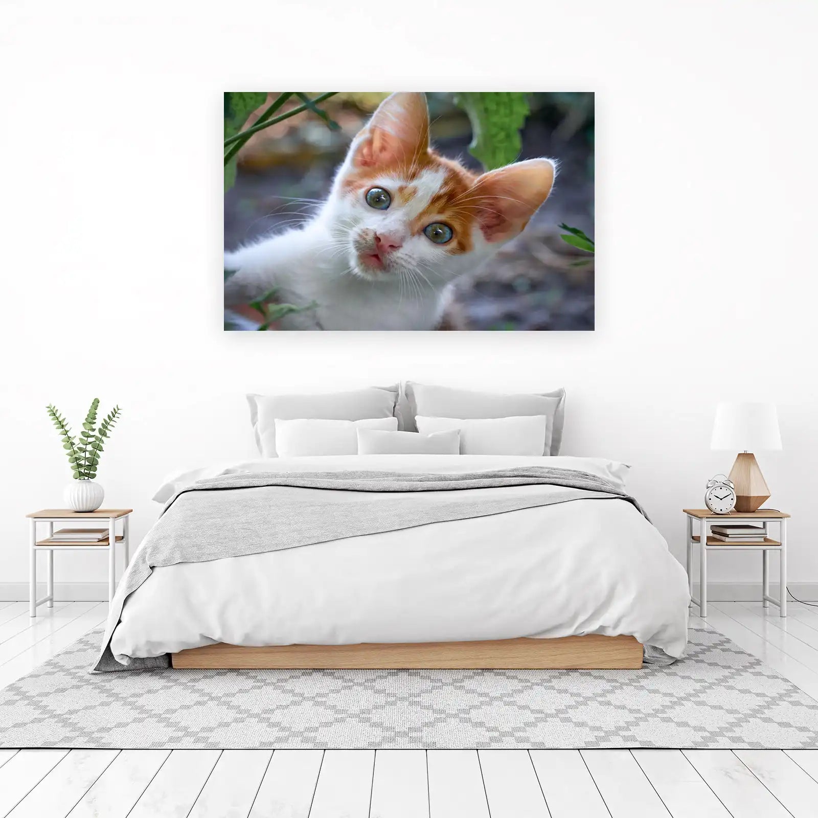 Adorable Kitten with Blue Eyes Wall Art