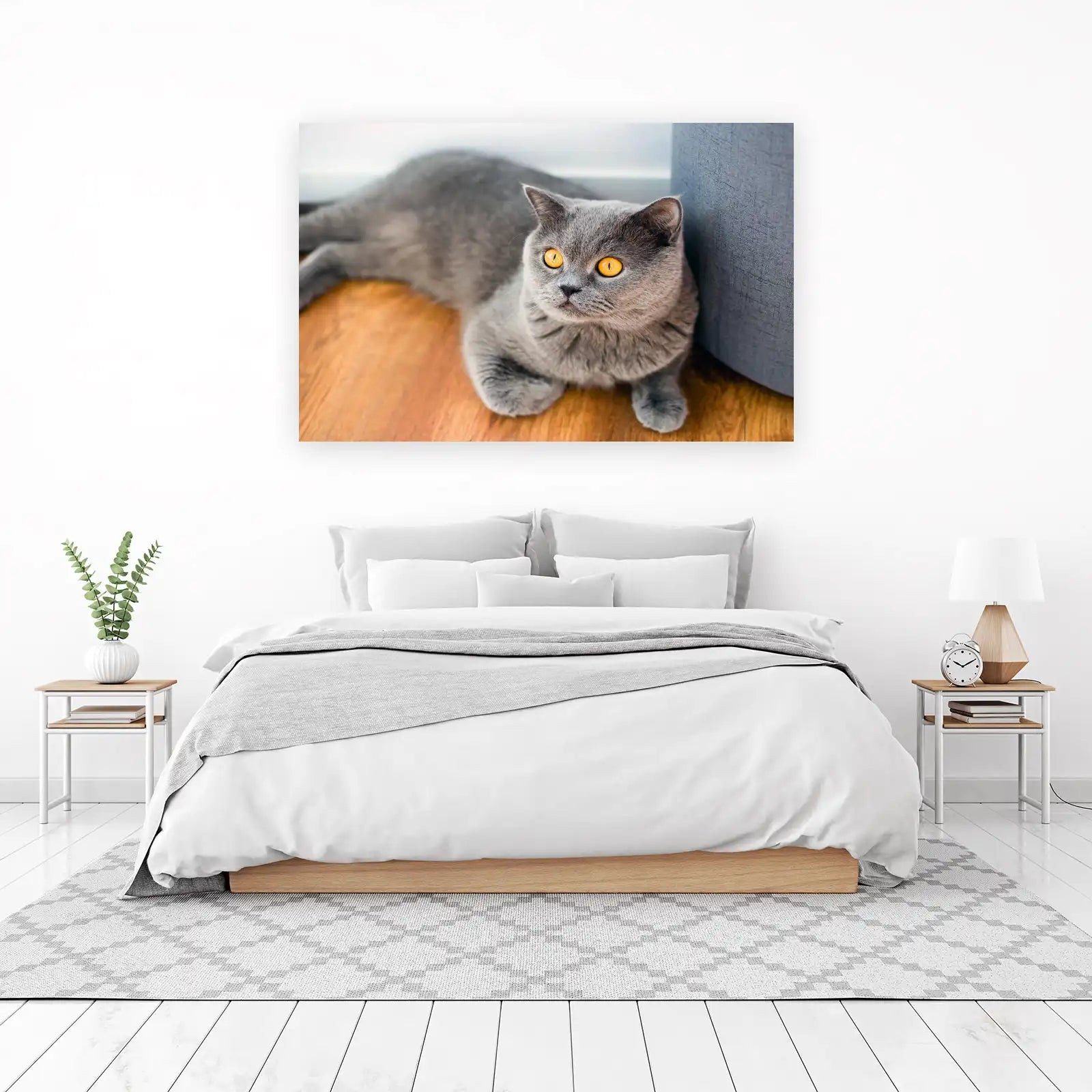 Adorable British Shorthair Cat Wall Art