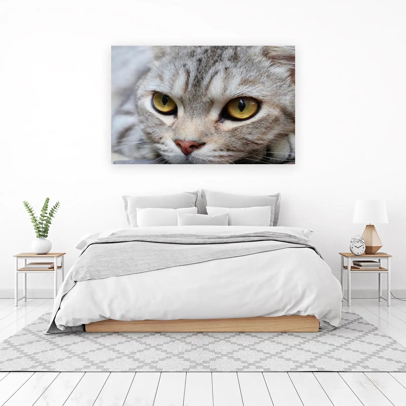 Captivating Cat Eyes Abstract Wall Art