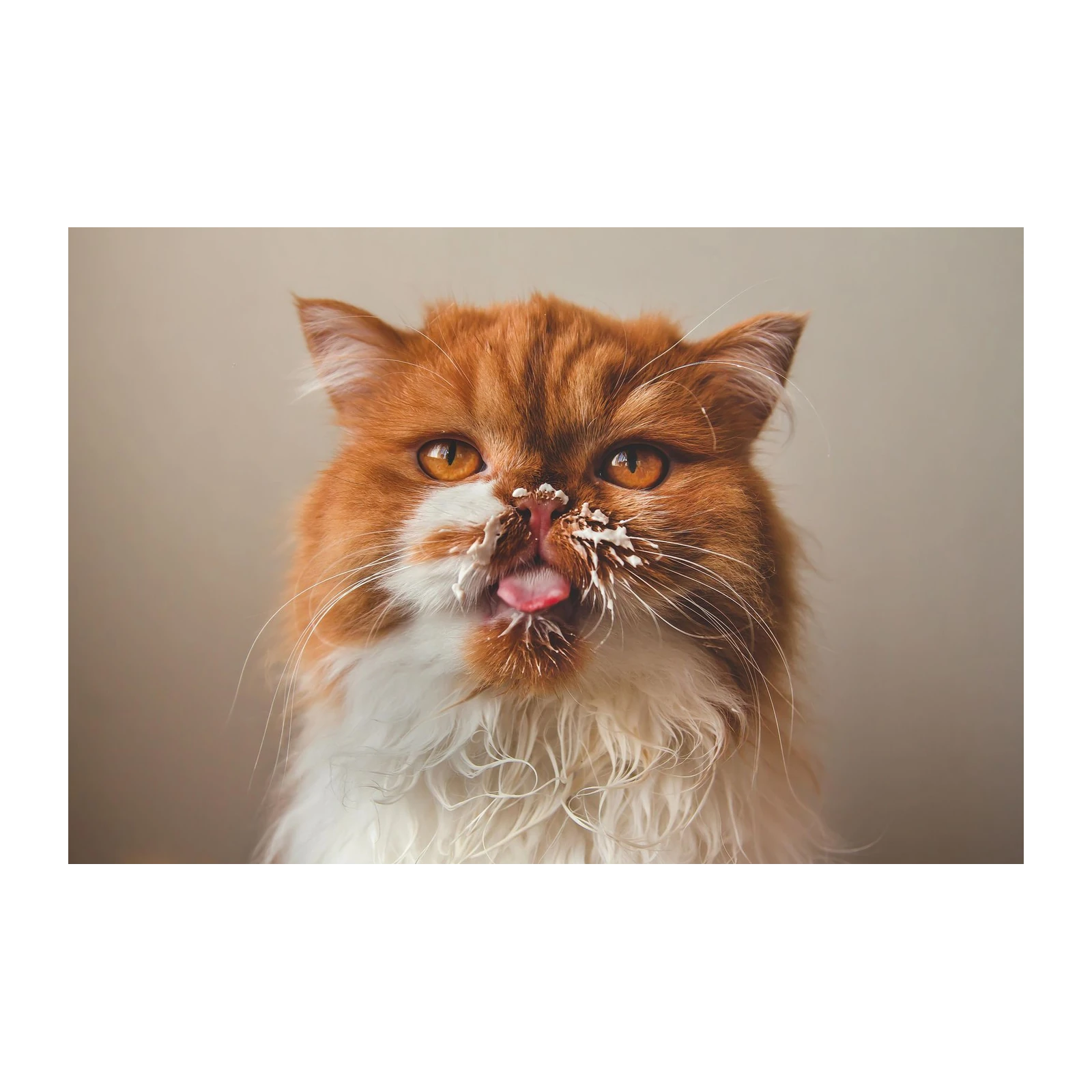 Whimsical Creamy Cat Portrait Wall Art