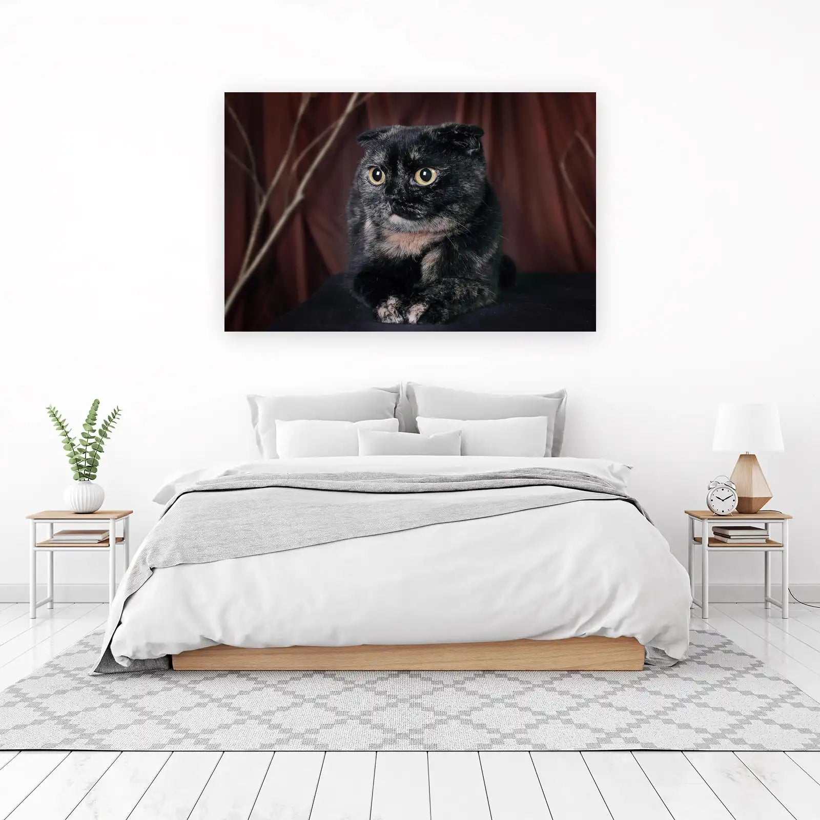 Tortie Scottish Fold Cat Portrait Wall Art