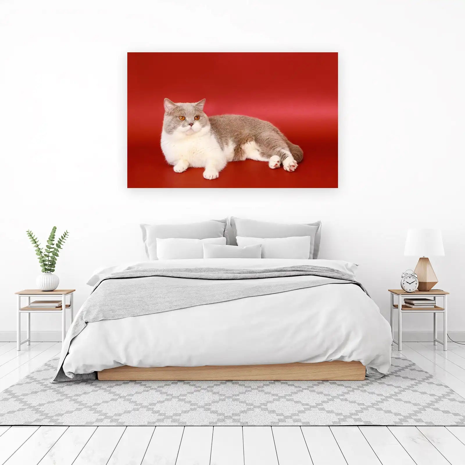 Majestic British Shorthair Cat on Red Wall Art