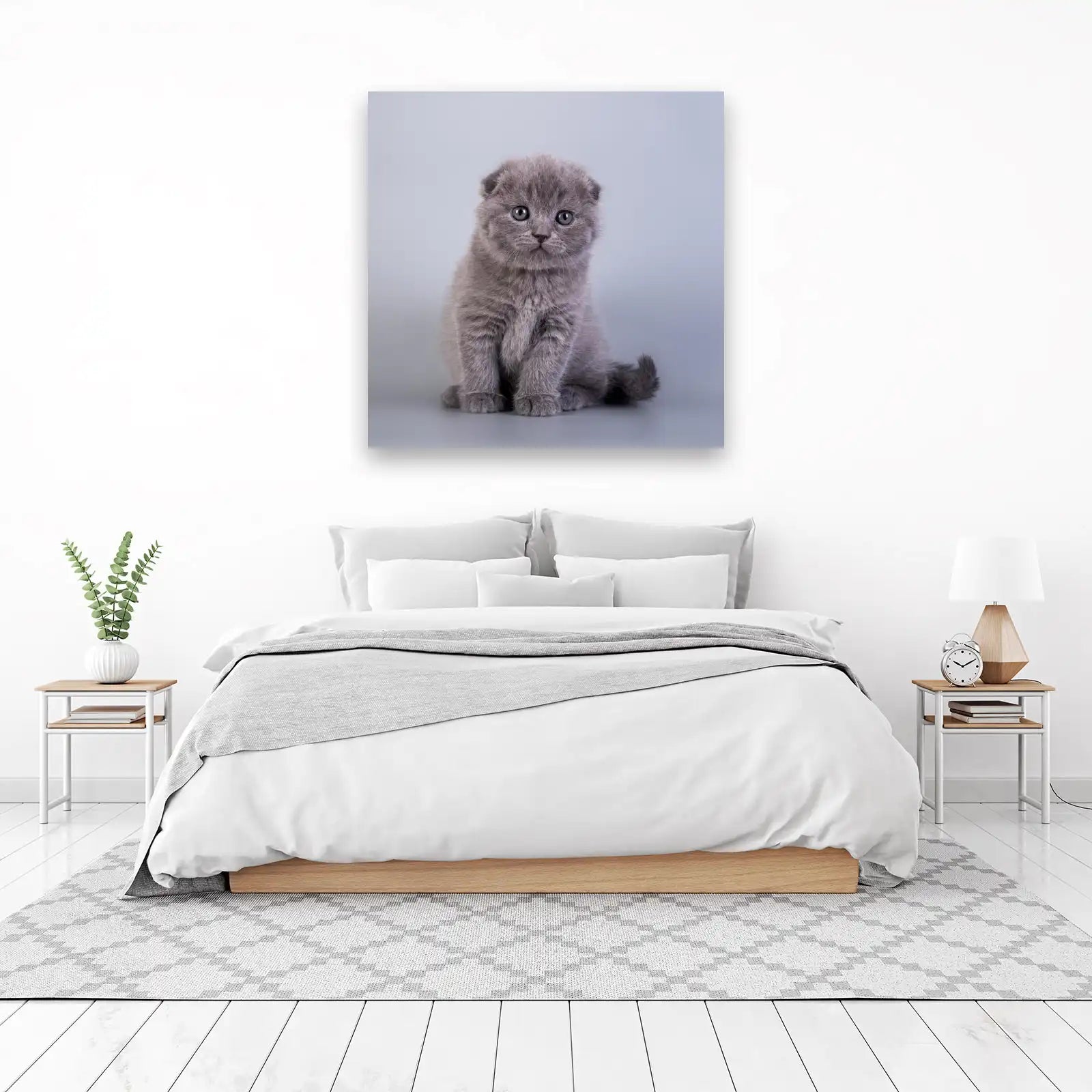 Adorable Grey Kitten Portrait Wall Art