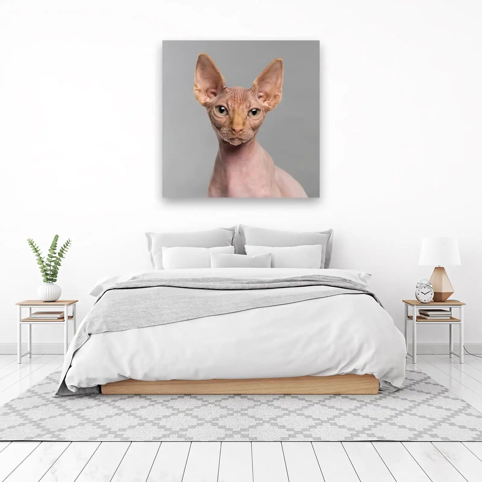 Unique Sphynx Cat Portrait Wall Art