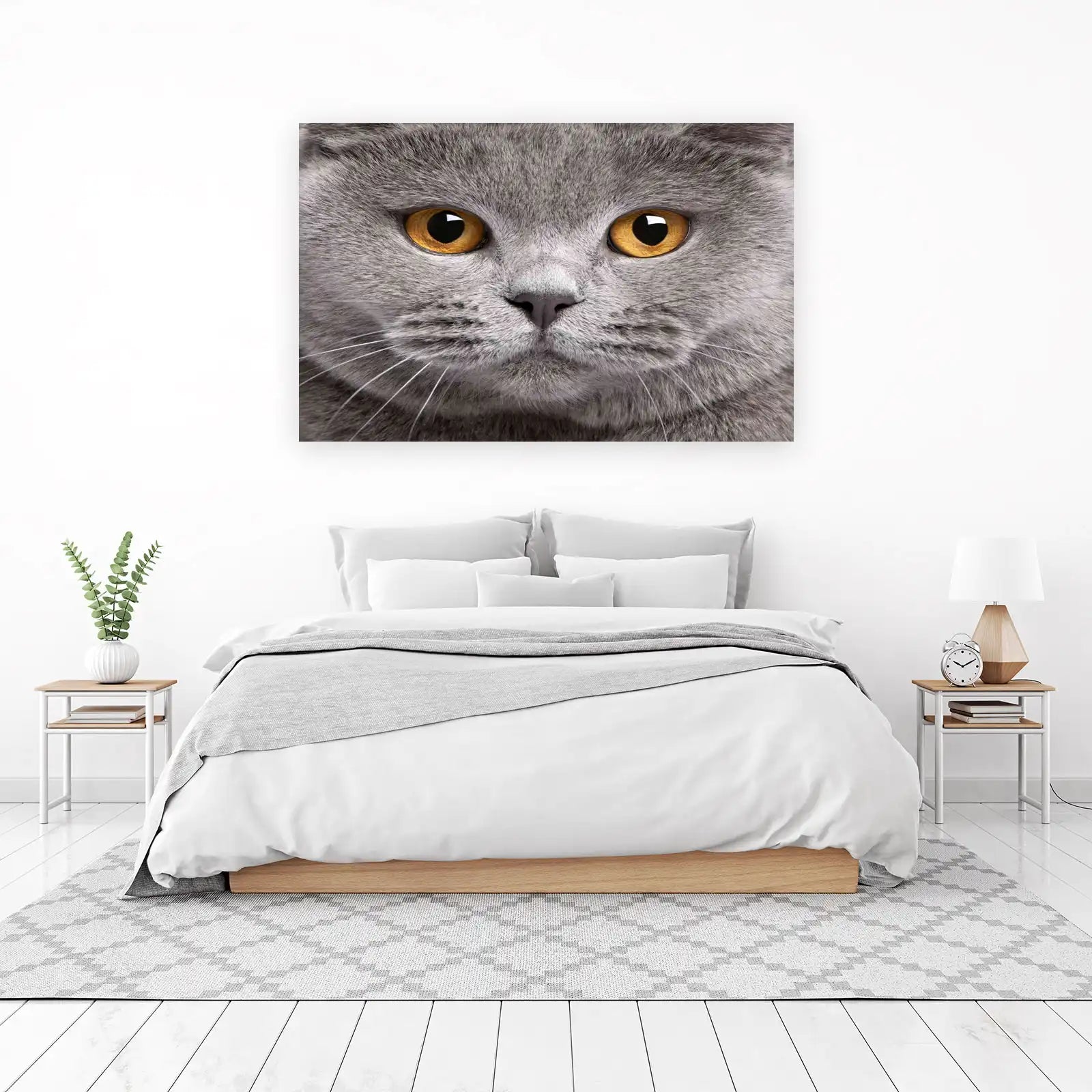Majestic British Shorthair Cat Eyes Wall Art