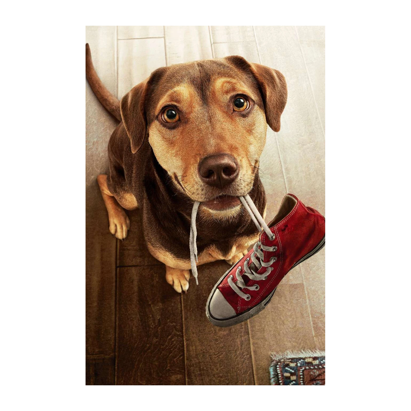 Playful Dog with Red Sneaker Wall Art