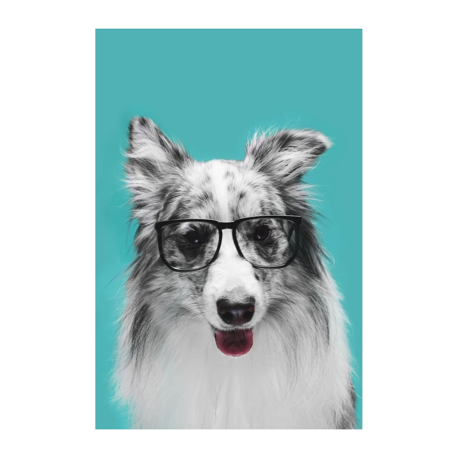 Wise Woof Portrait Wall Art
