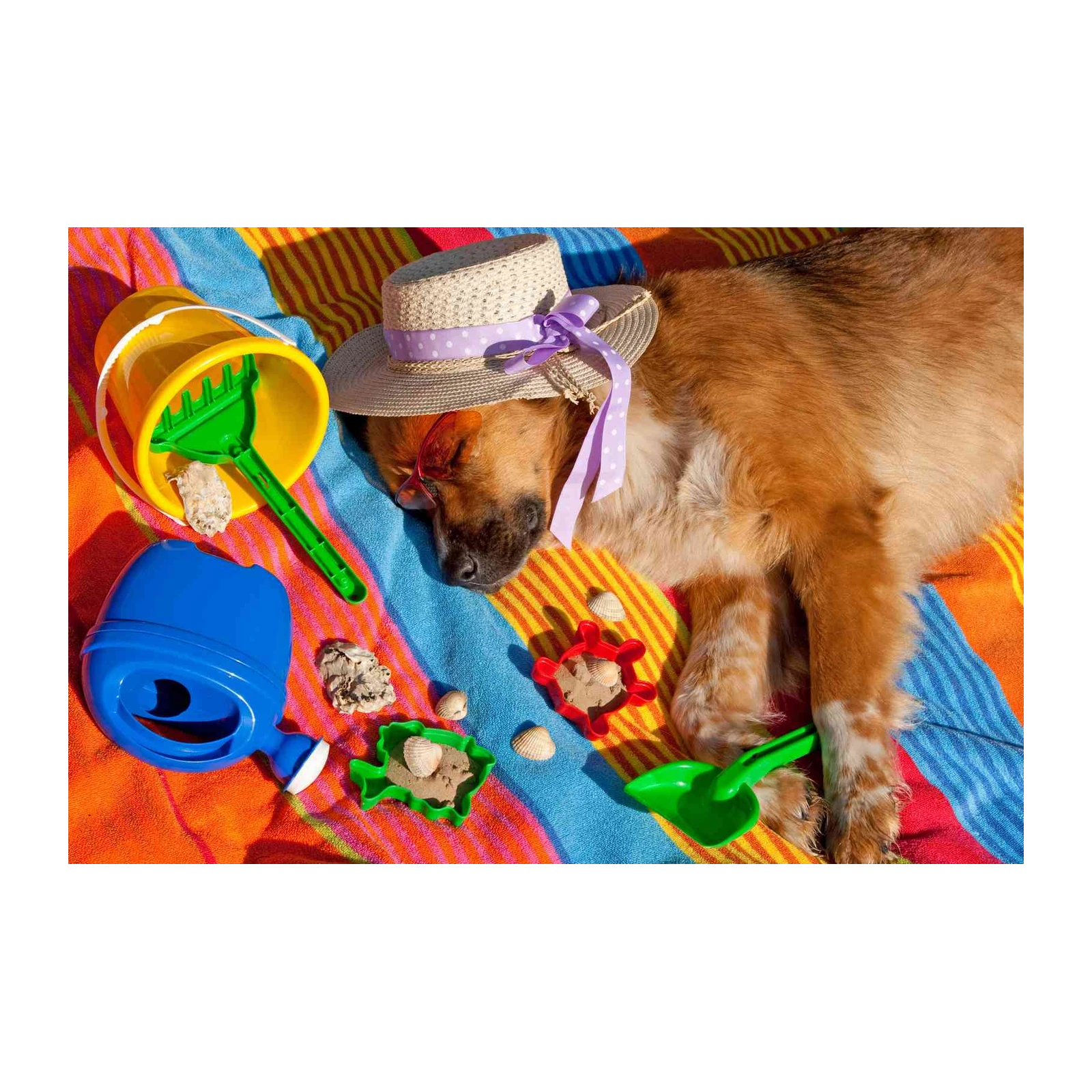 Relaxing Beach Dog Fun Wall Art