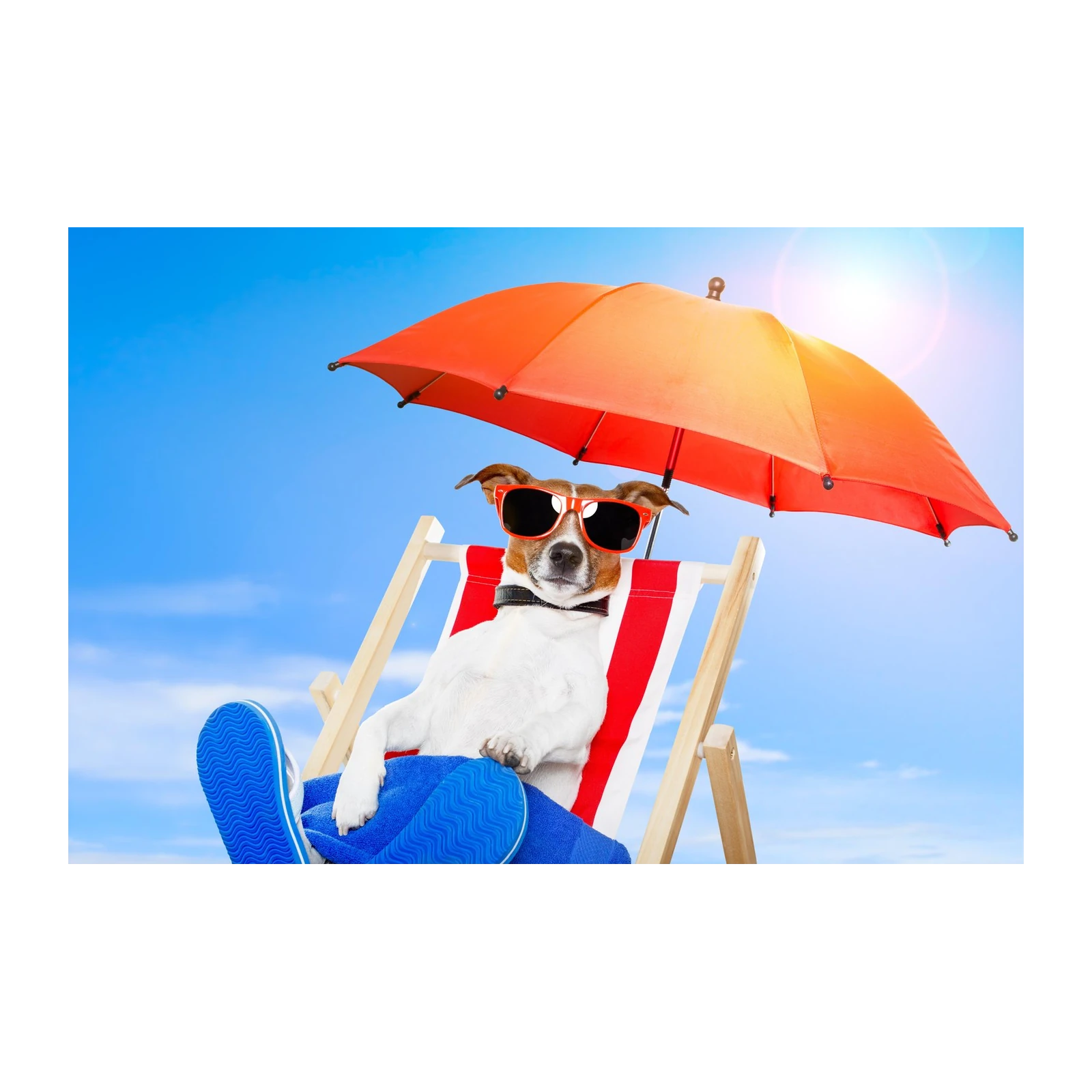 Cool Dog Relaxing Beach Vibes Wall Art