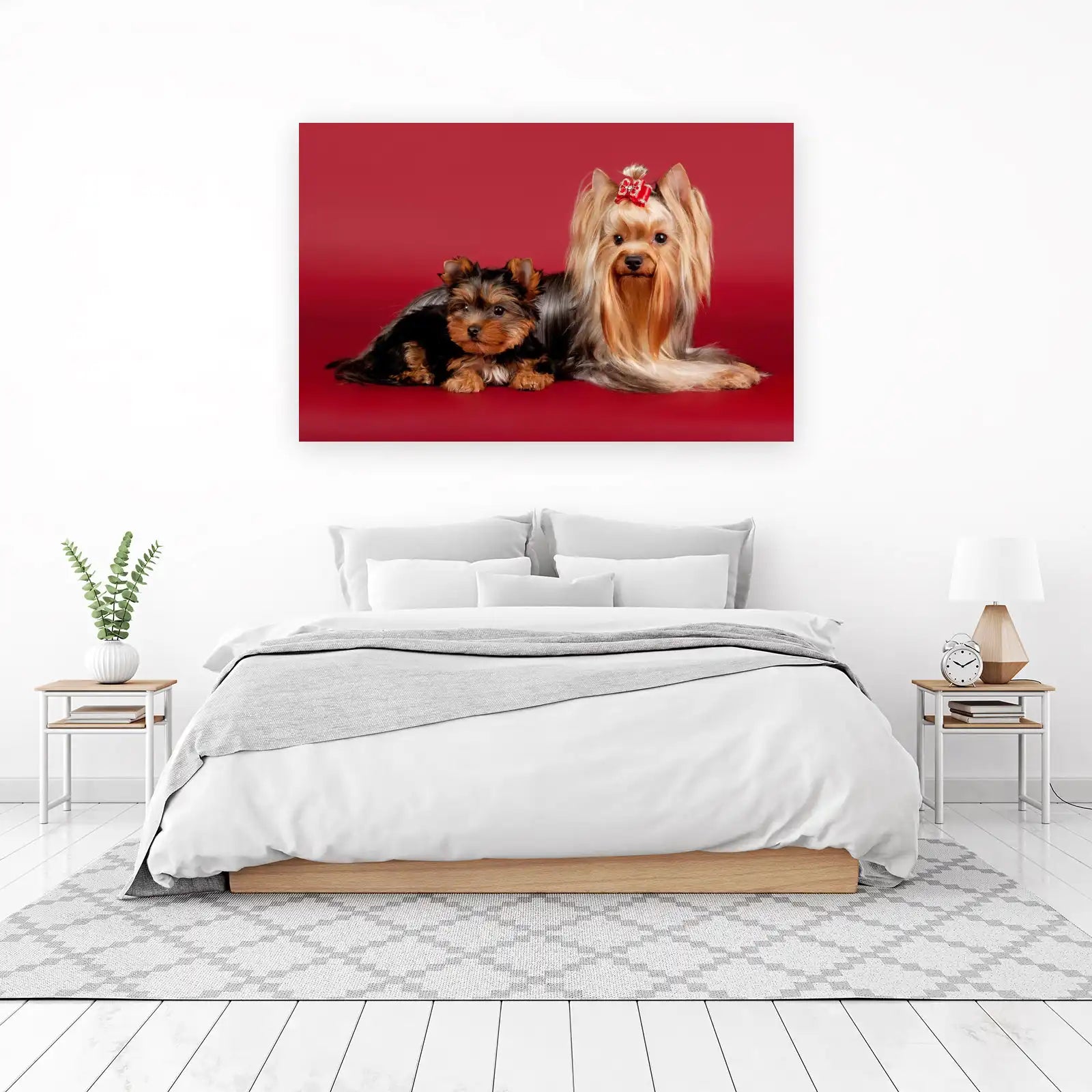 Adorable Yorkshire Terriers Wall Art - Dog Art