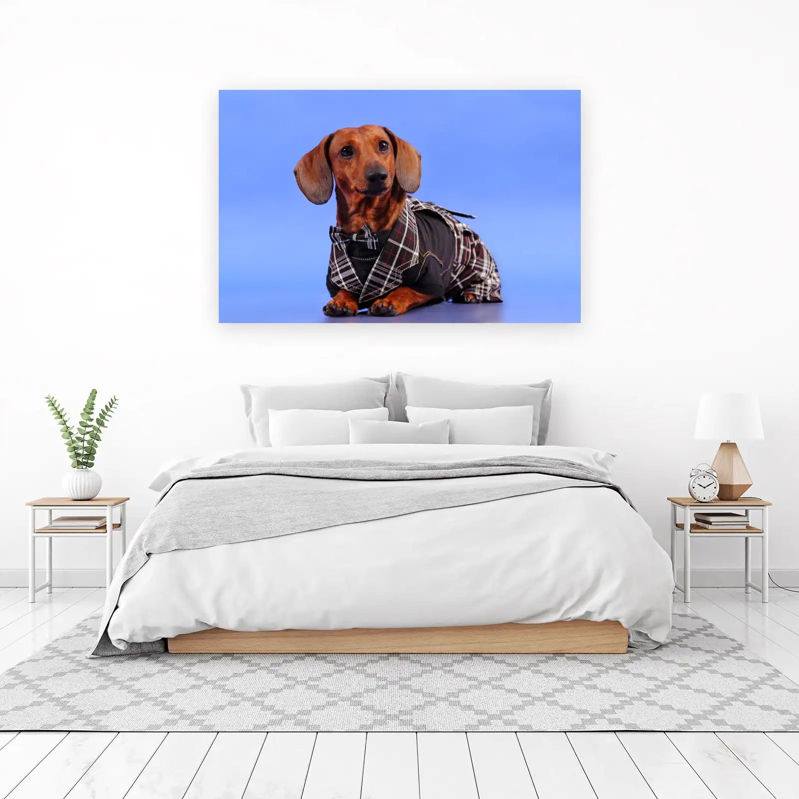 Dapper Dachshund in Plaid Tuxedo Wall Art