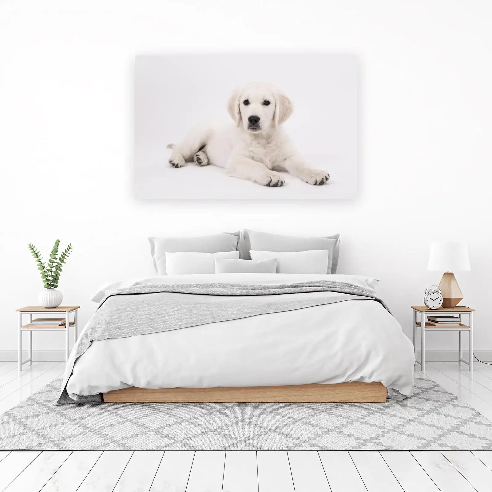 Adorable Golden Retriever Puppy Wall Art