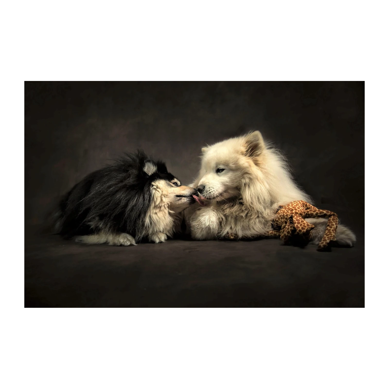Tender Moment: Two Dogs Best Friends Wall Art