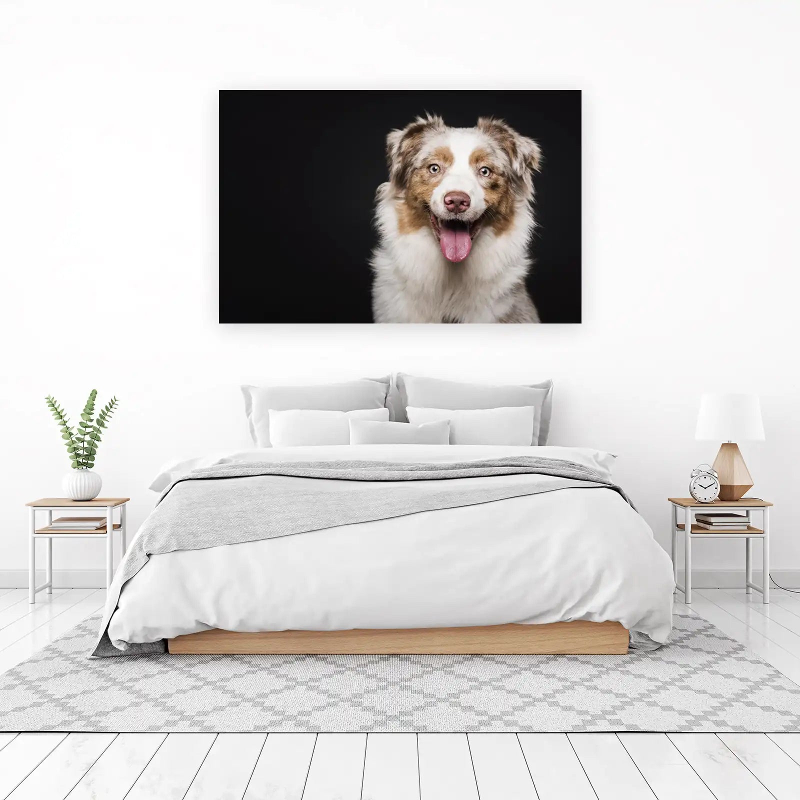 Joyful Australian Shepherd Dog Portrait Wall Art
