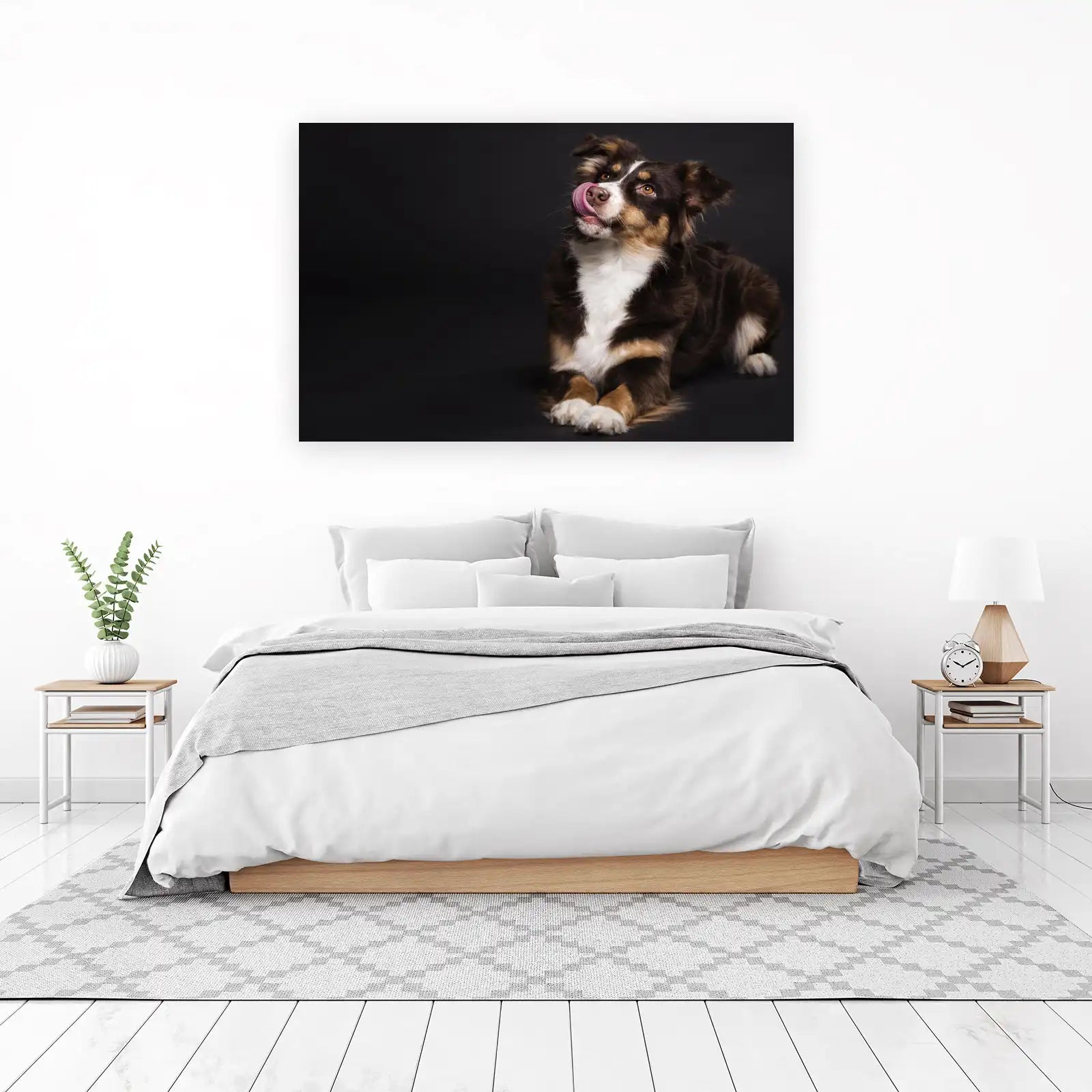 Playful Aussie Licking Dog Portrait Wall Art