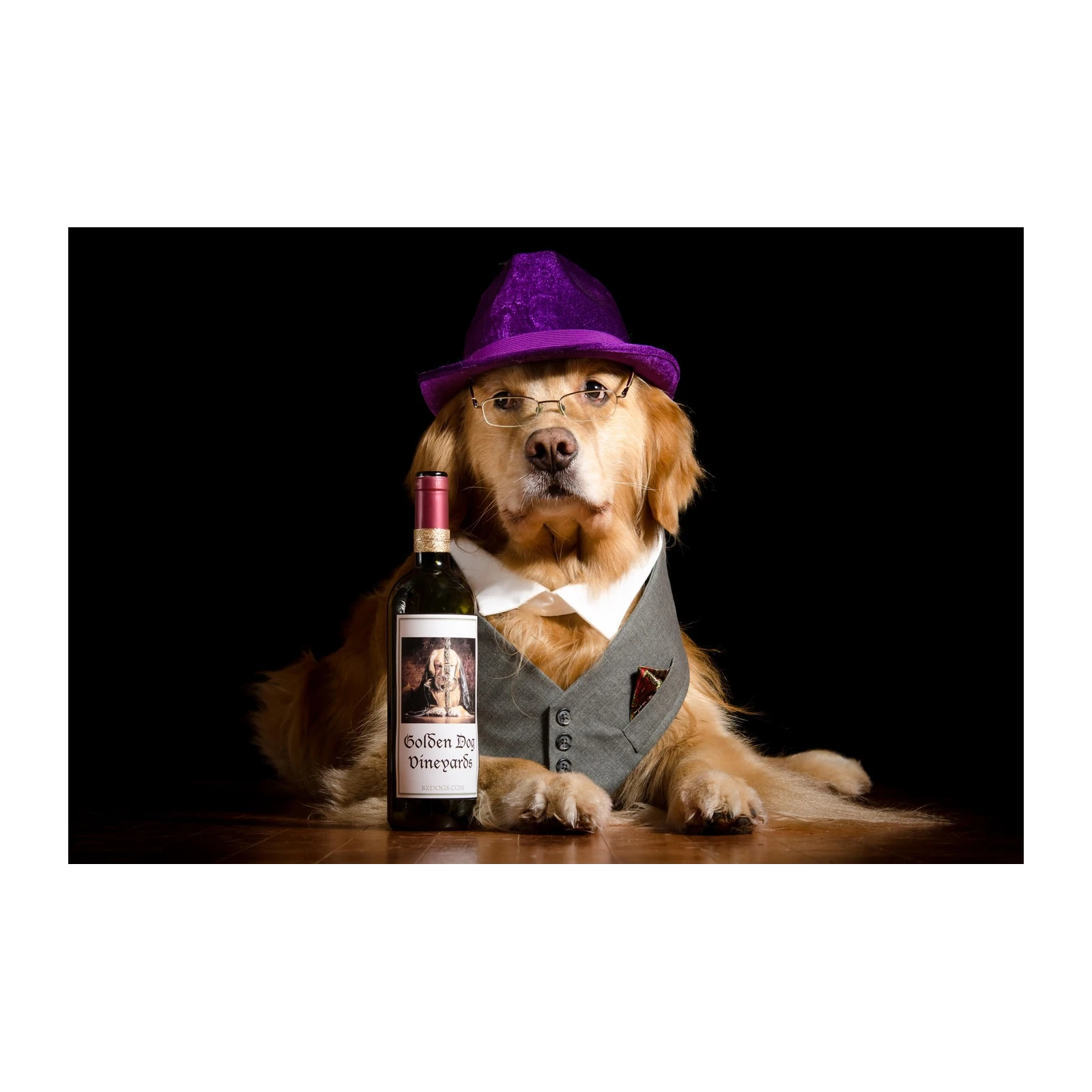 Dapper Golden Retriever Wine Bottle Wall Art