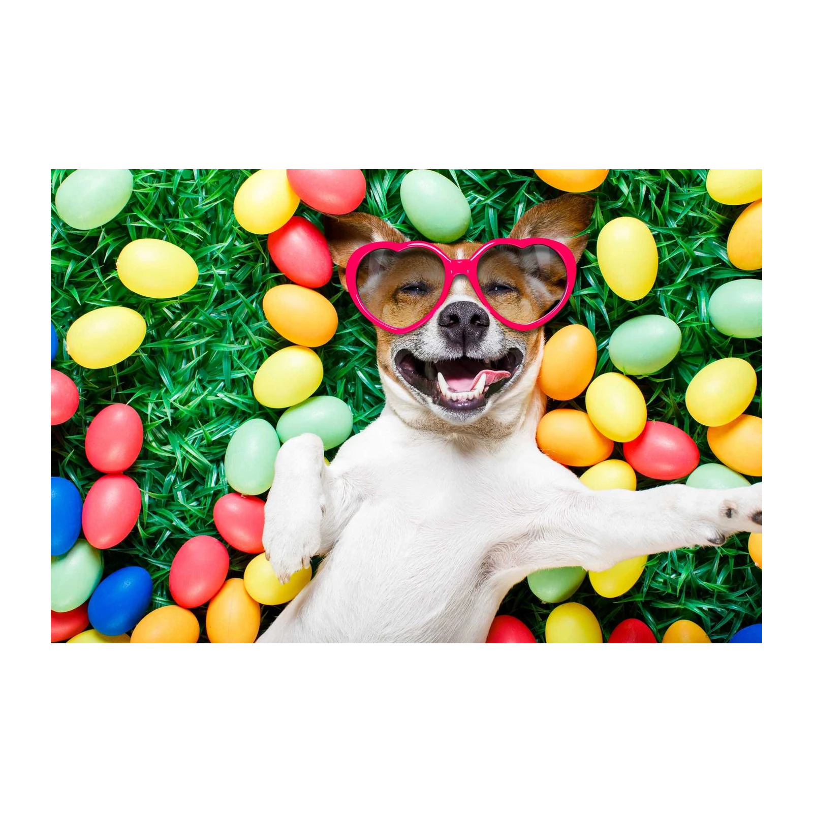 Happy Easter Dog Heart Sunglasses Wall Art