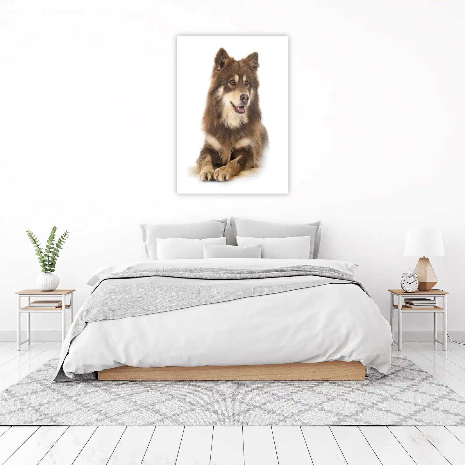 Majestic Brown Finnish Lapphund Wall Art