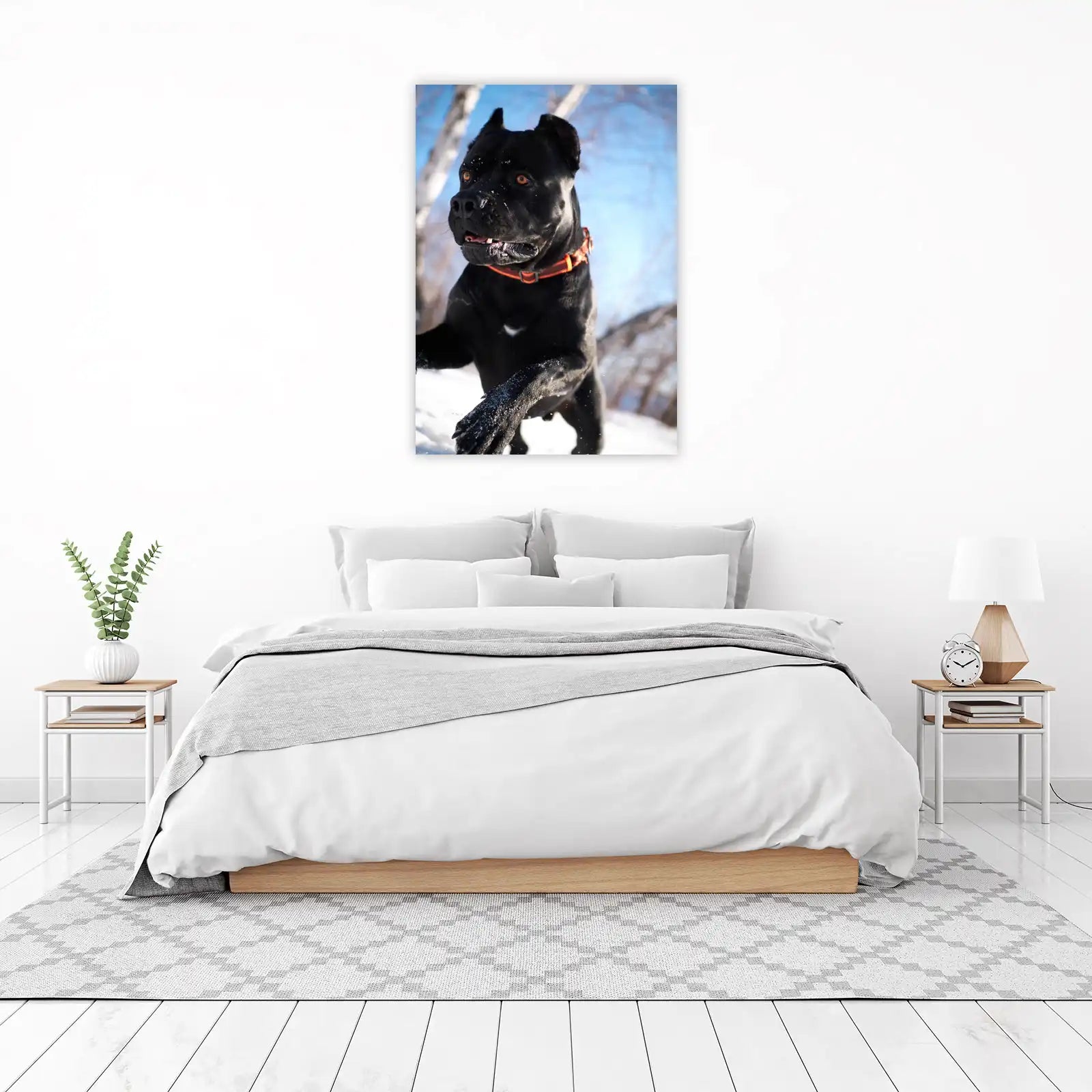 Majestic Black Cane Corso Snow Day Wall Art