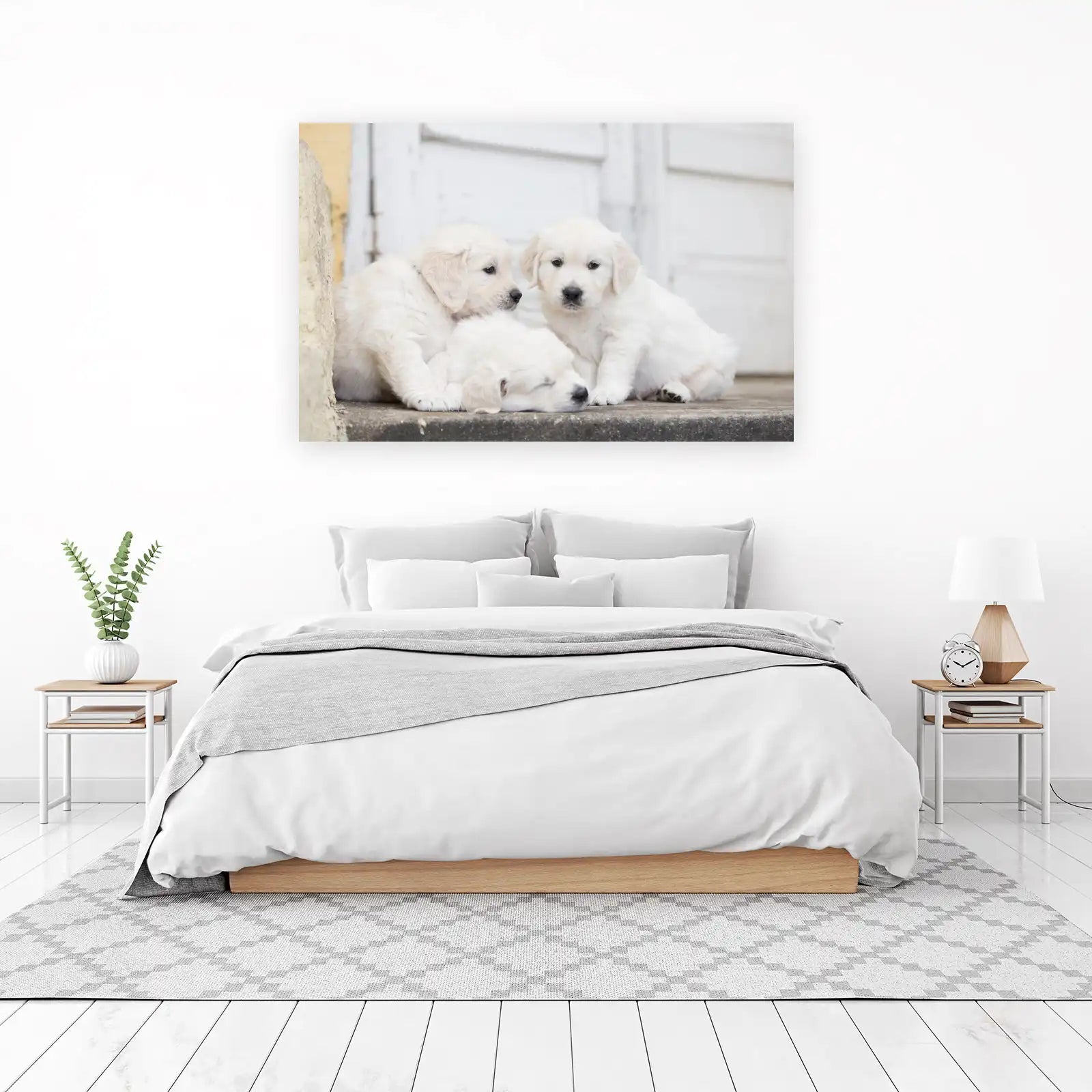 Adorable Golden Retriever Puppies Wall Art