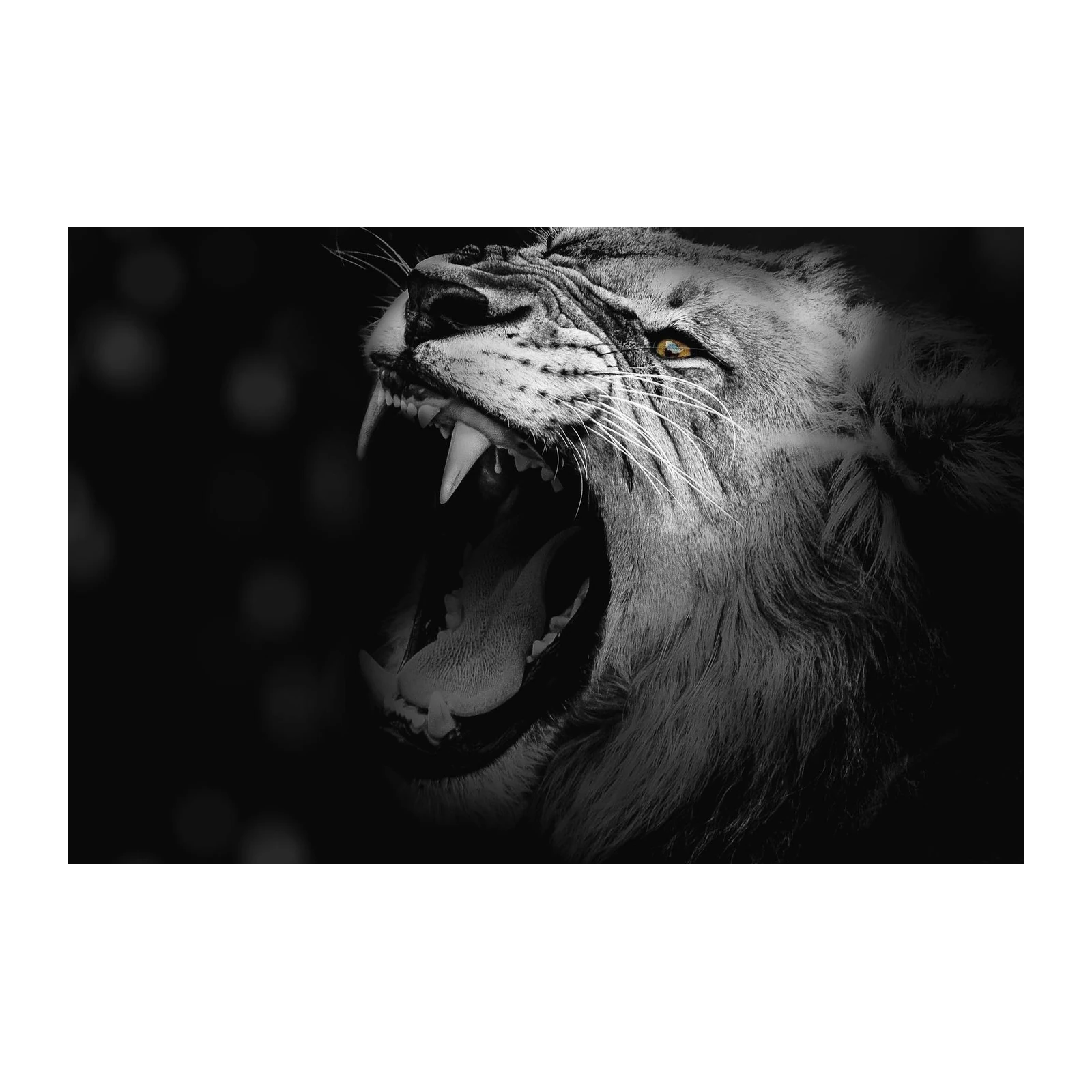 Majestic Lion Roar Black & White Wall Art