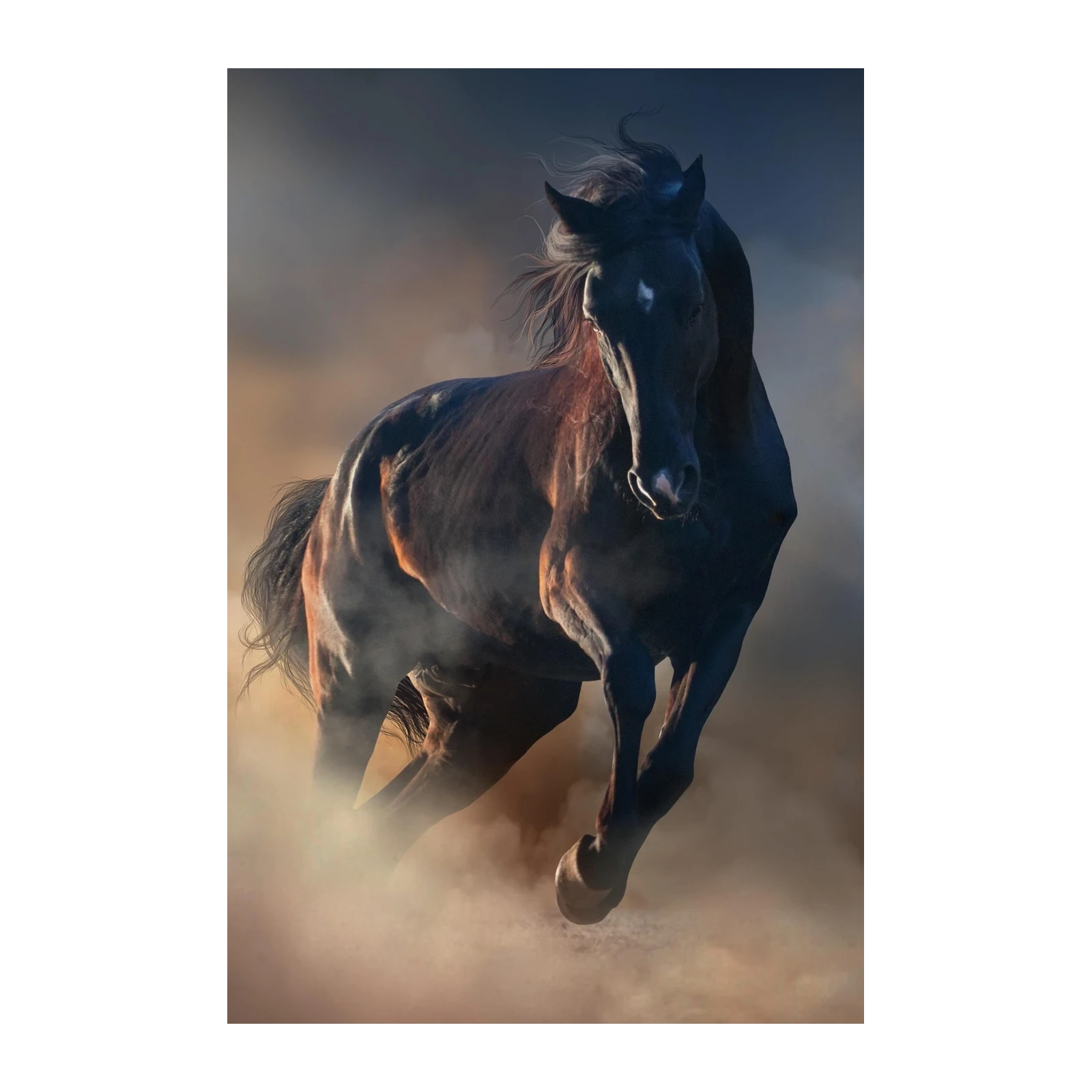 Majestic Black Horse Gallop Wall Art