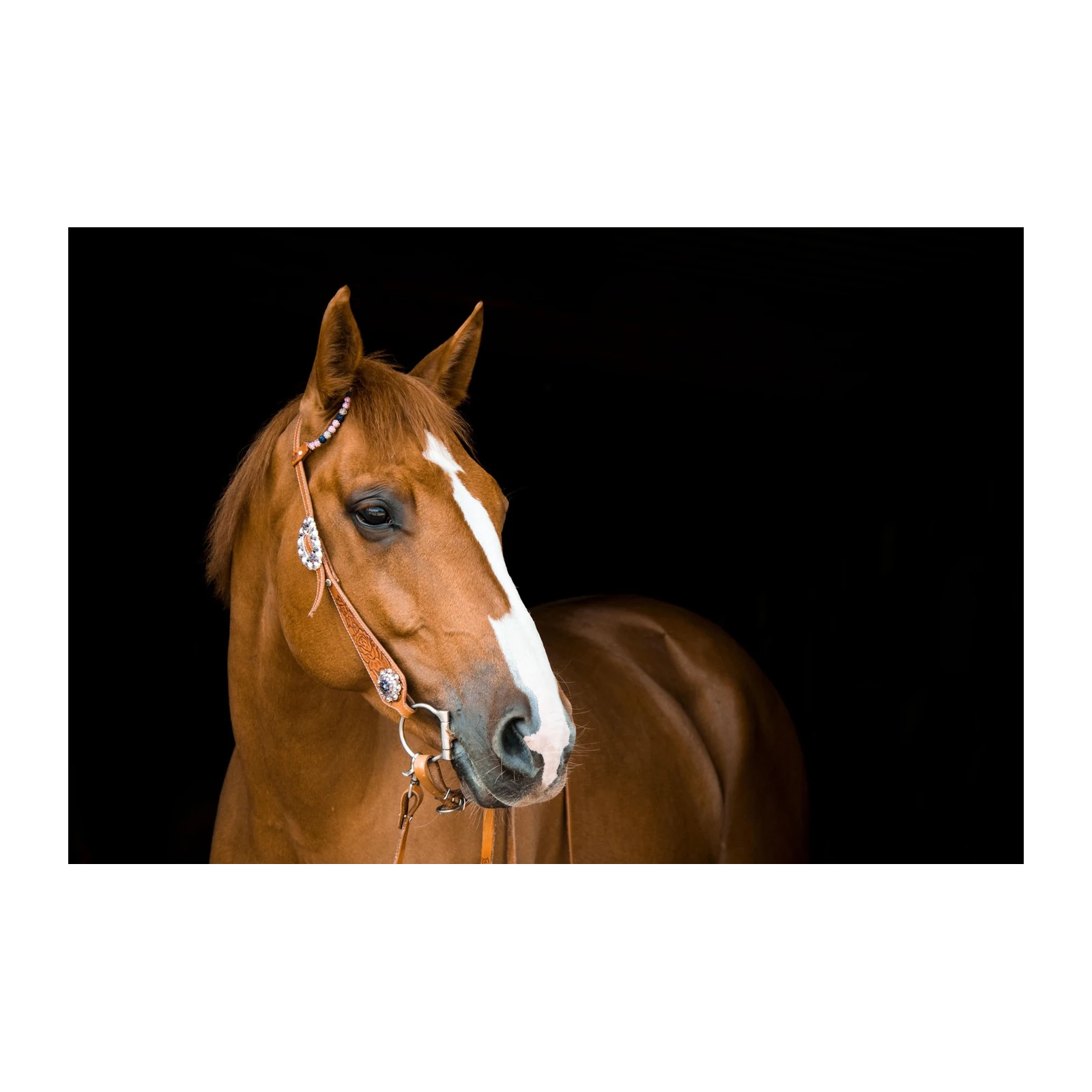 Majestic Chestnut Horse Head Portrait Wall Art