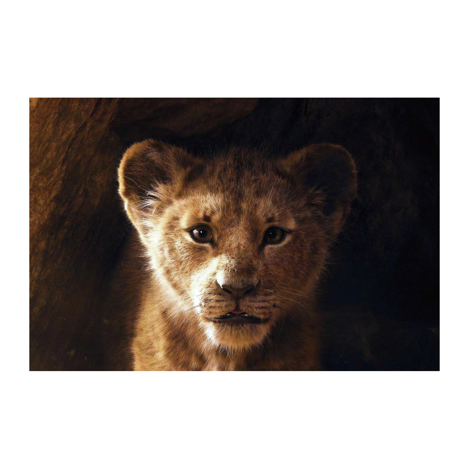 Majestic Lion Cub Close-Up Wall Art