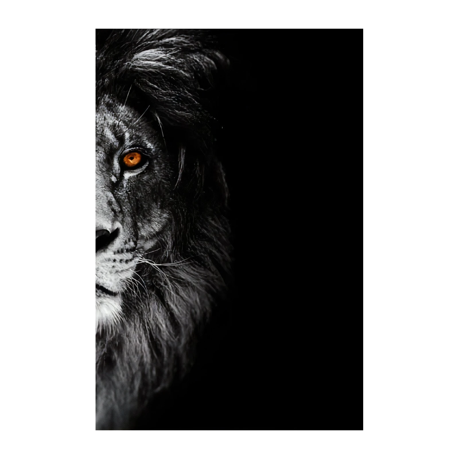 Intense Lion Eye Black & White Wall Art
