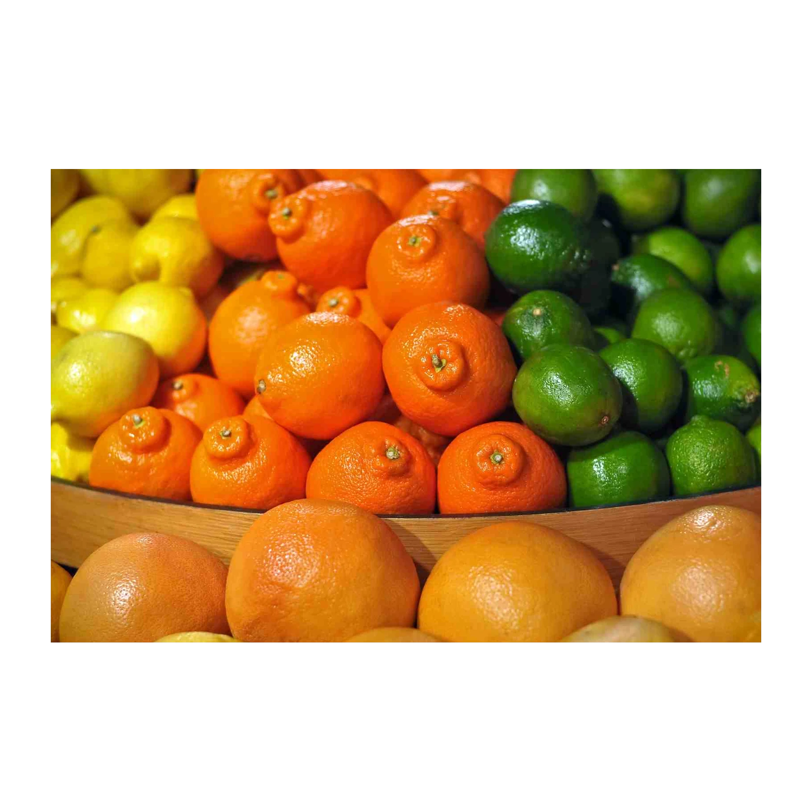 Vibrant Citrus Fruit Still Life Wall Art