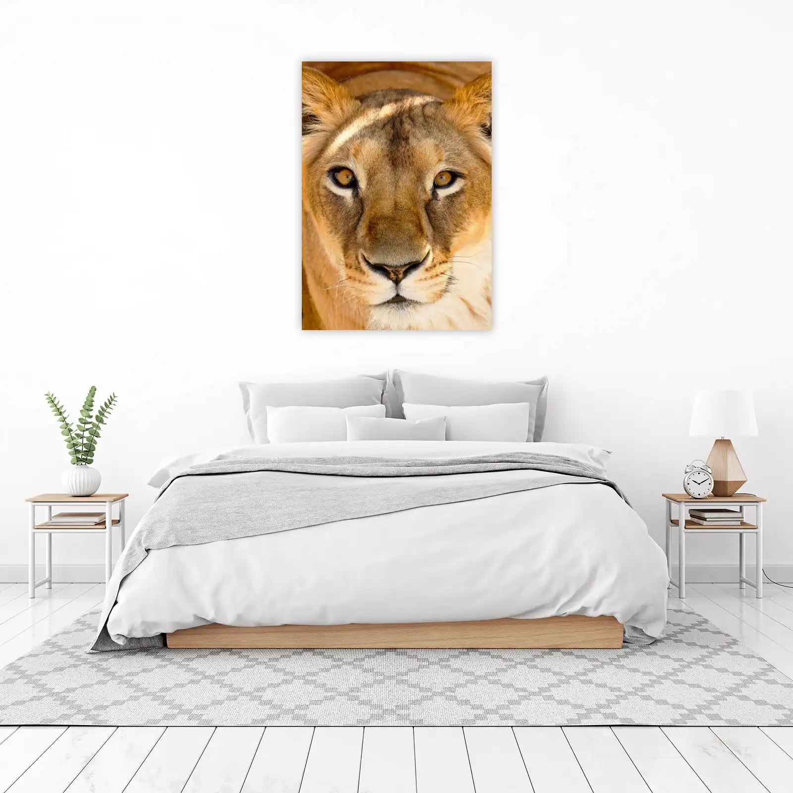 Majestic Lioness Gaze Wall Art | Wildlife Art